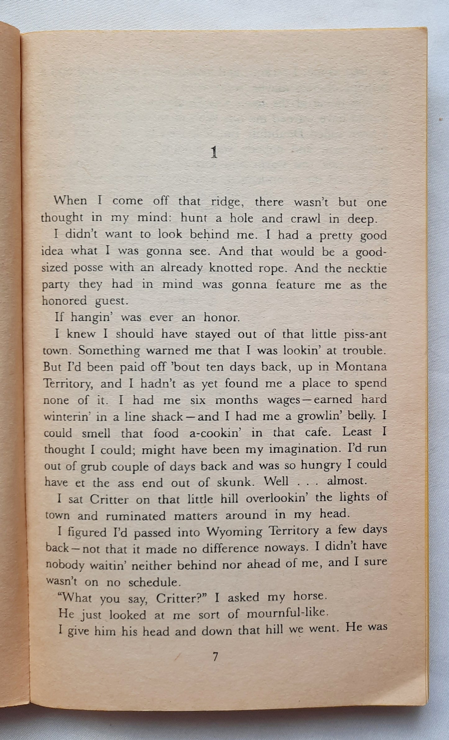 Blood Valley by William W. Johnstone (Cotton Pickens #1, Very Good, 1988, Pbk, Zebra Western, 267 pages)