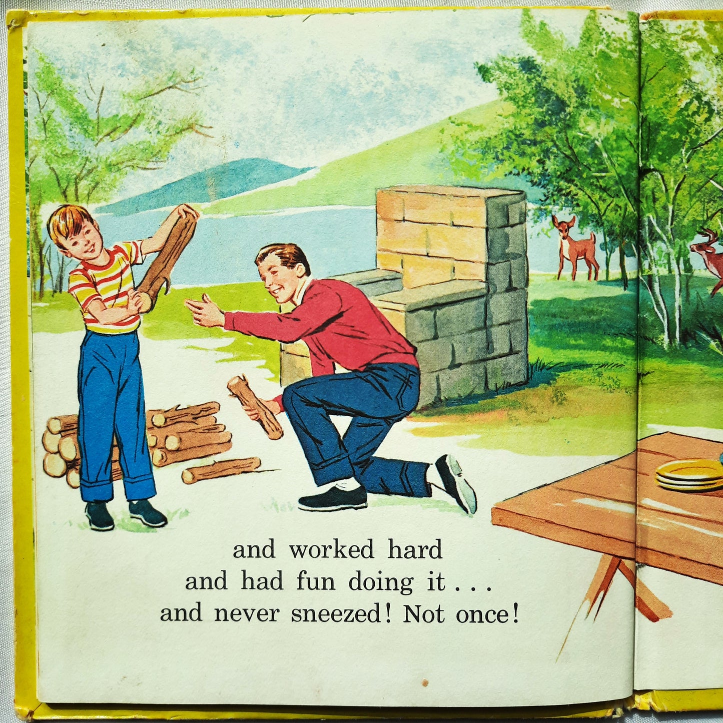Jerry and Dr. Dave: A Visit to the Doctor by Marion Borden; Claudine Nankivel (Acceptable, 1964, HC, 28 pages, Whitman Publishing)