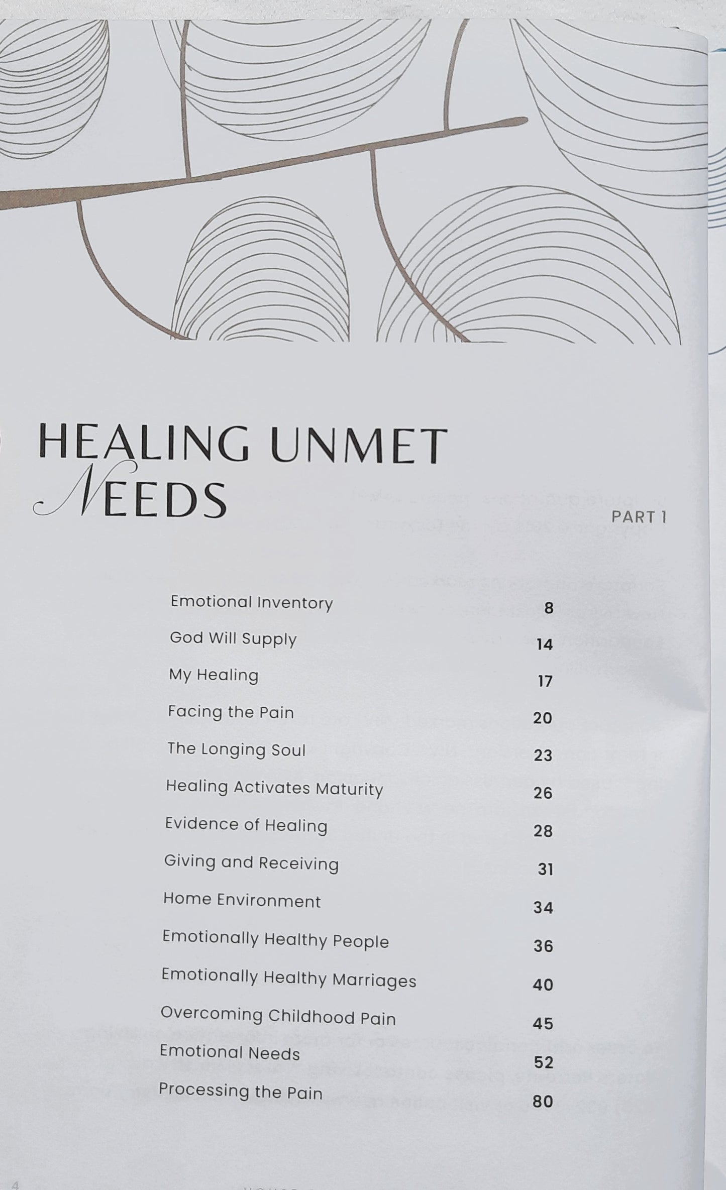 House of Healing by Denise Boggs (Very good, 2023, HC, 142 pages, DayStar)