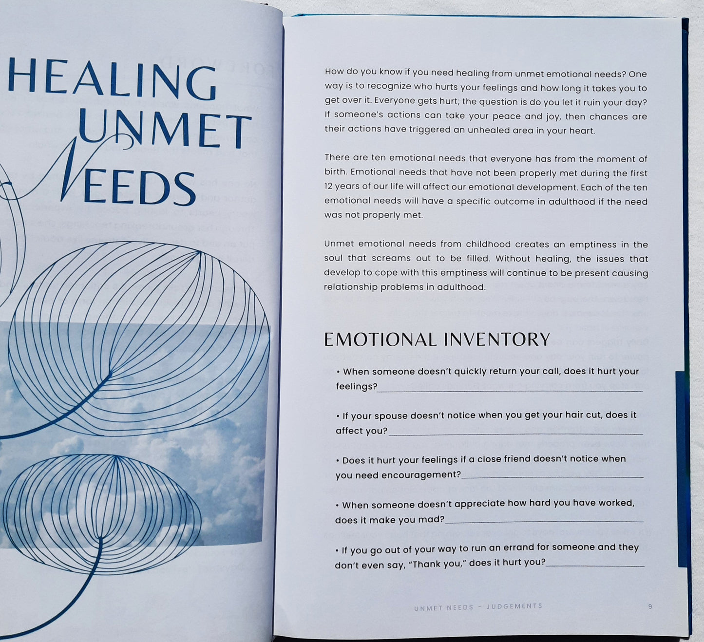House of Healing by Denise Boggs (Very good, 2023, HC, 142 pages, DayStar)