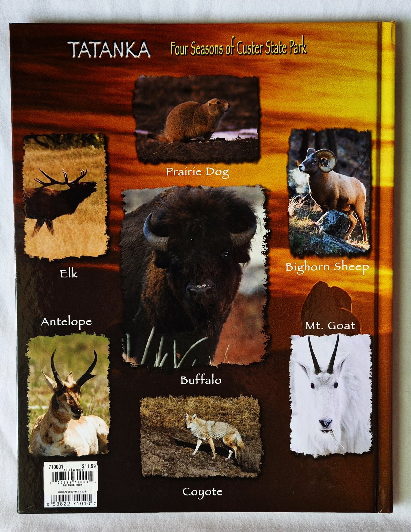Tatanka: Four Seasons of Custer State Park von Mike Wolforth; Dwaine Tollefsrud (Neu, 2006, HC, 48 S., Fenske Media Corp)