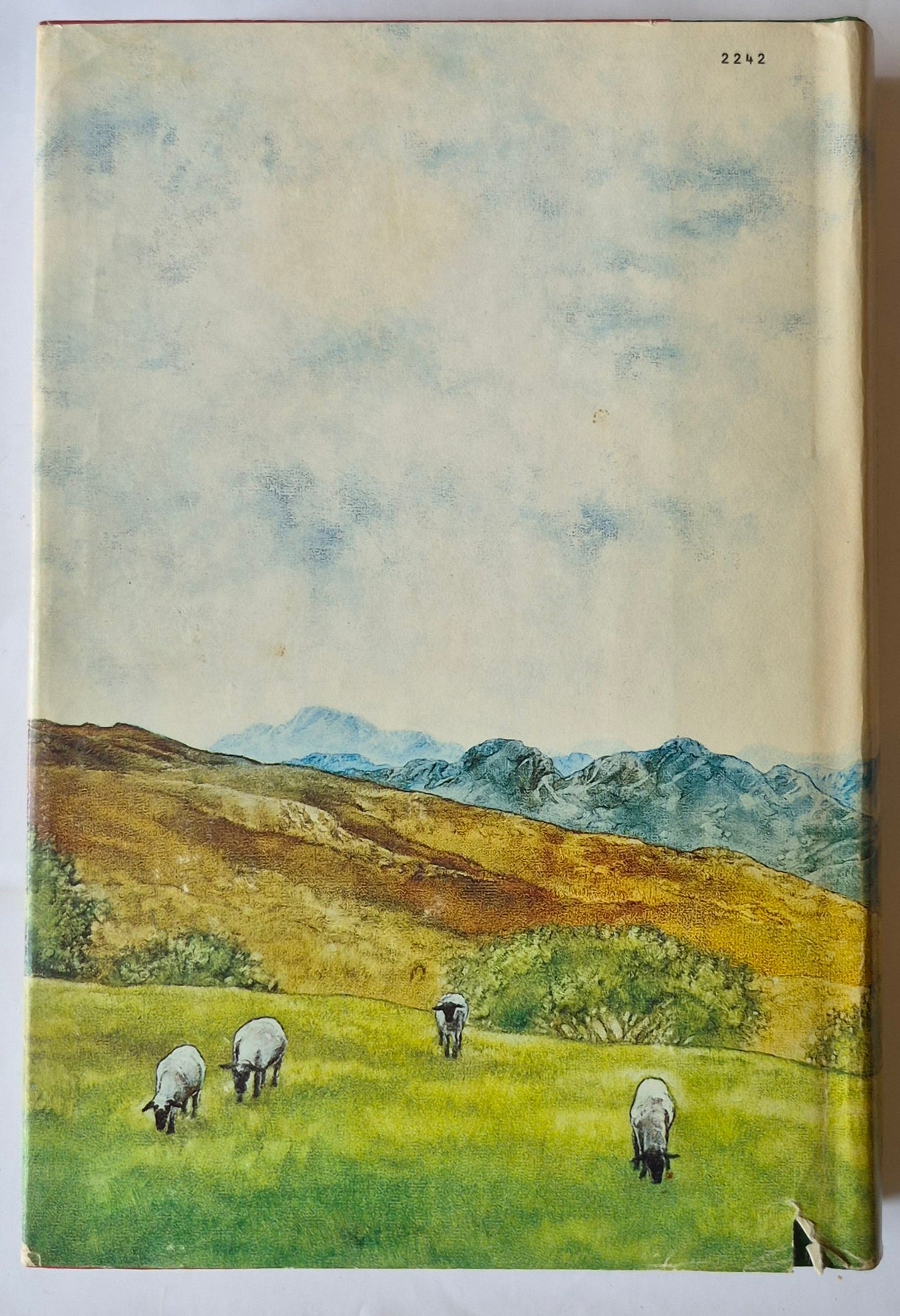 Summer Harvest von Madge Swindells (Sehr gut, 1983, gebunden, 467 Seiten, Doubleday & Co)