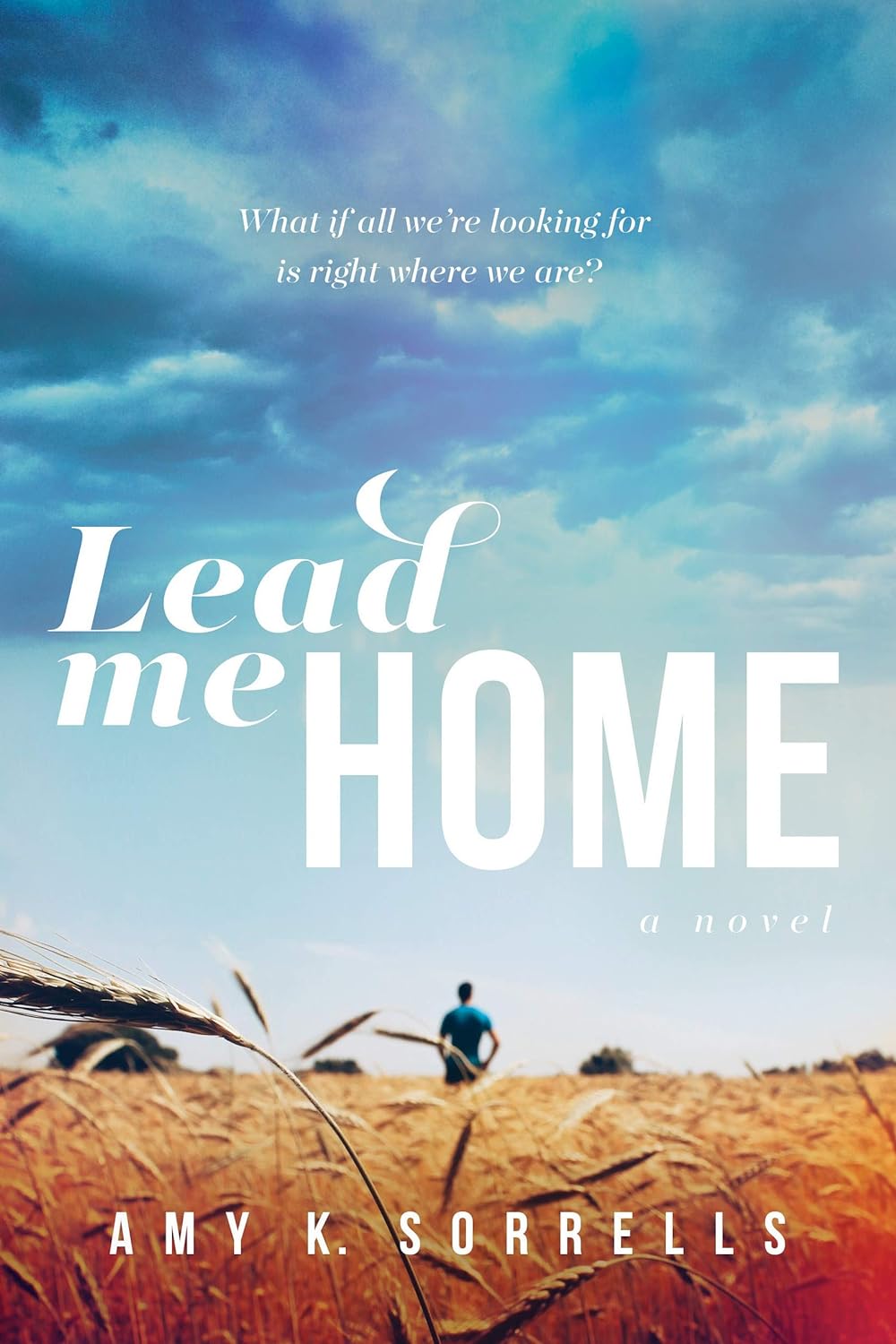 Lead Me Home by Amy K. Sorrells (New, 2016, Pbk, 384 pgs, Tyndale House)