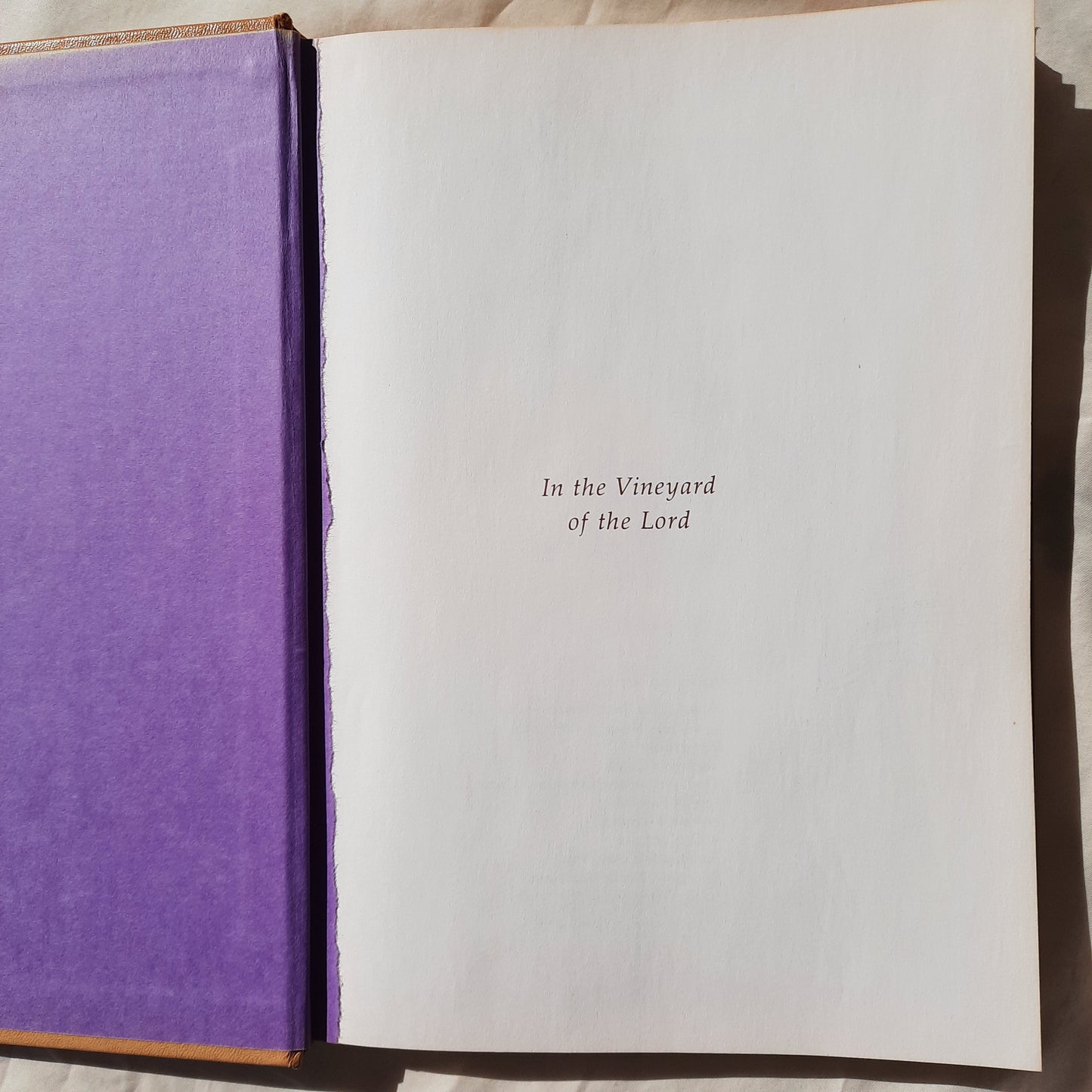 In the Vineyard of the Lord: Lights and Shadows From the Life of Helen Steiner Rice as told to Fred Bauer (Good, 1979, HC)