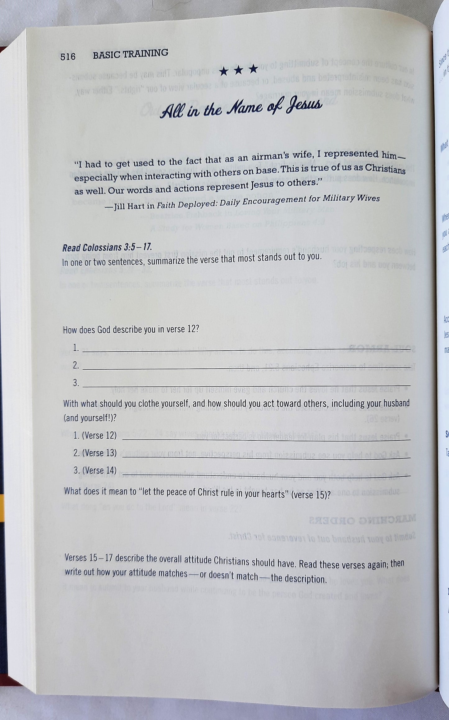NIV Military Wives' New Testament With Psalms and Proverbs (New, 2012, HC, 525 pages, Zondervan)