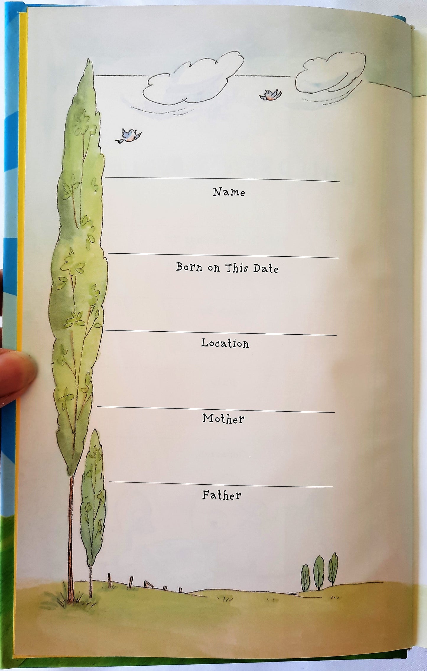 NIV Really Woolly Children's Bible (New, 2015, HC, 1152 pages, DaySpring)