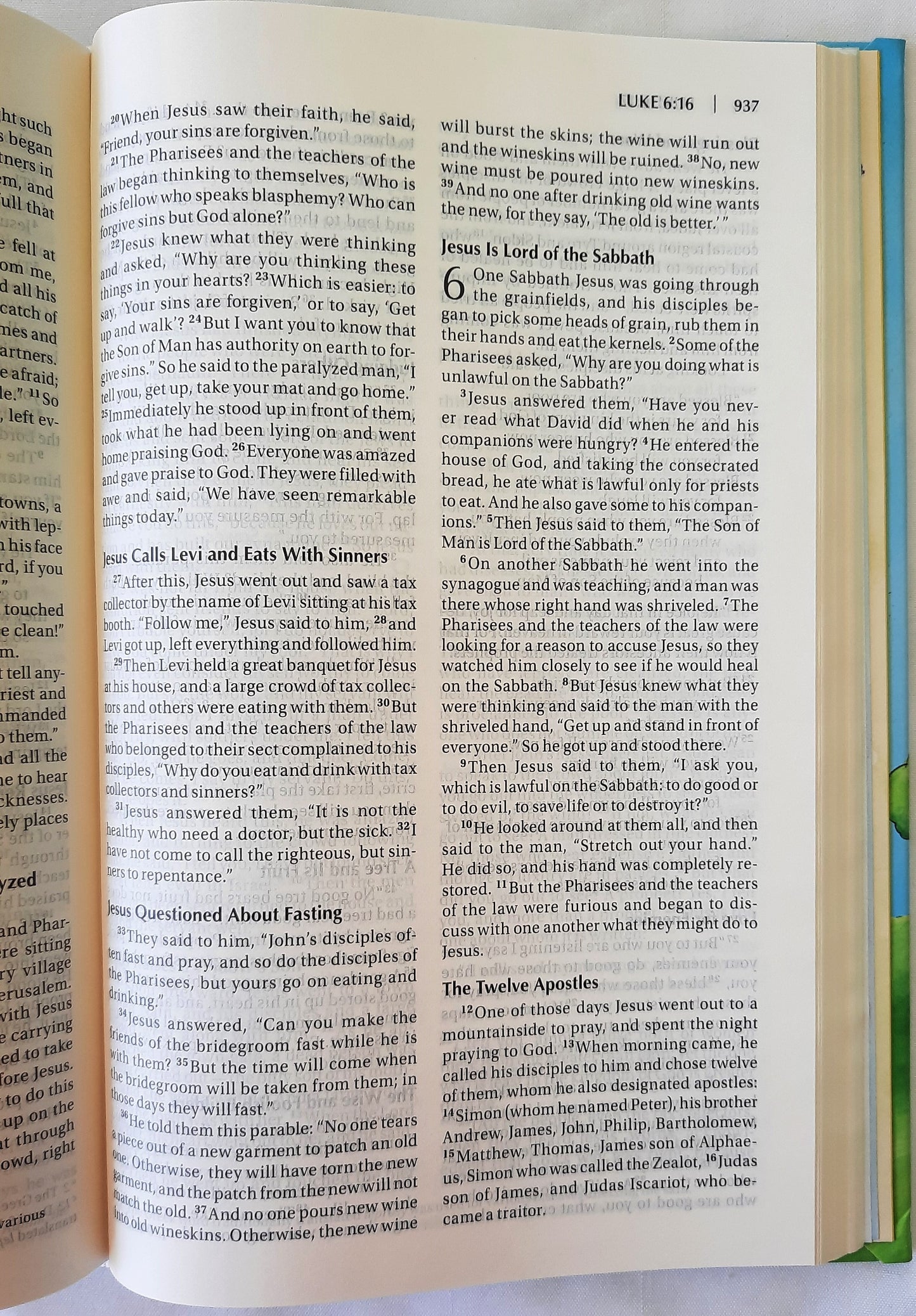 NIV Really Woolly Children's Bible (New, 2015, HC, 1152 pages, DaySpring)