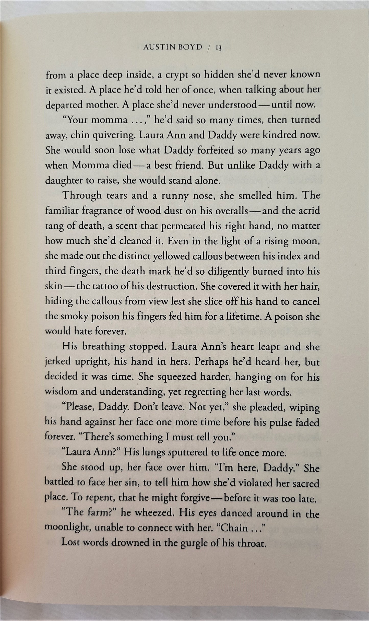 Nobody's Child by Austin Boyd (Very good, Pbk, 2011, Zondervan, 336 pages)