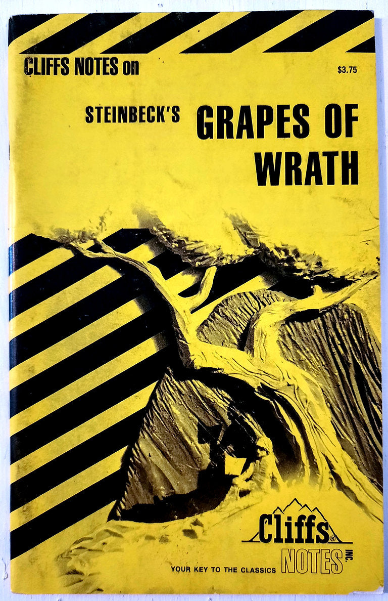 Grapes of Wrath by John Steinbeck (Good, 1993, Pbk, 72 pages, Cliffs Notes)