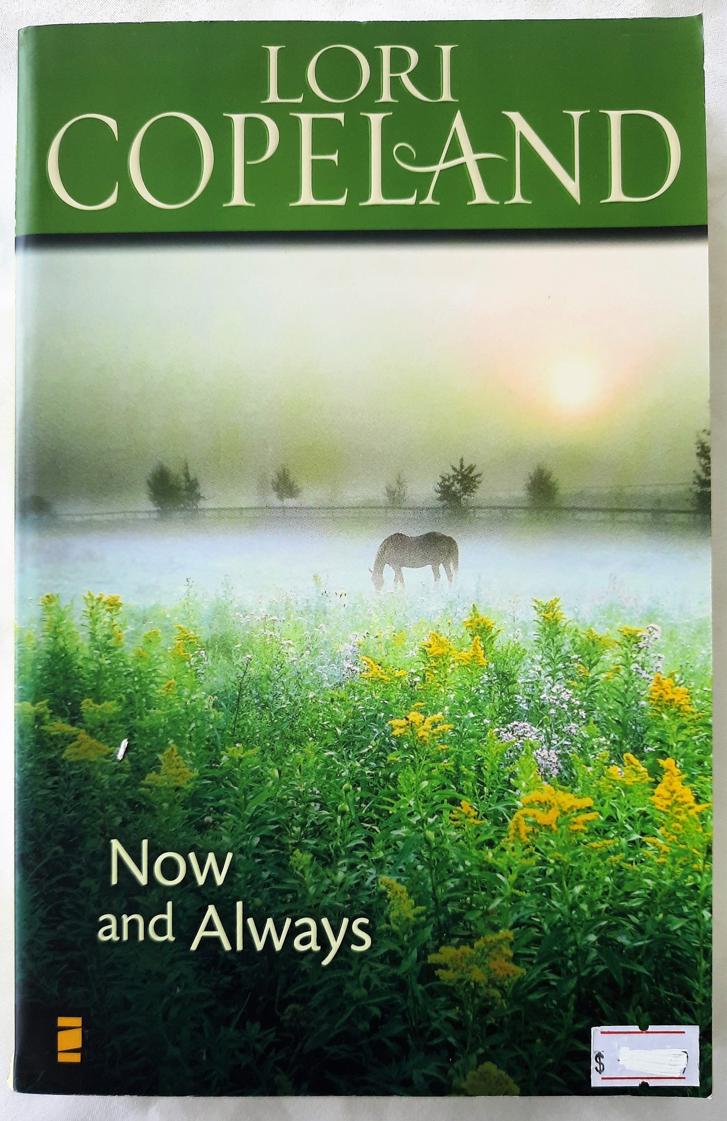 Now and Always by Lori Copeland (New w/wear, 2008, 328 pgs, Zondervan)