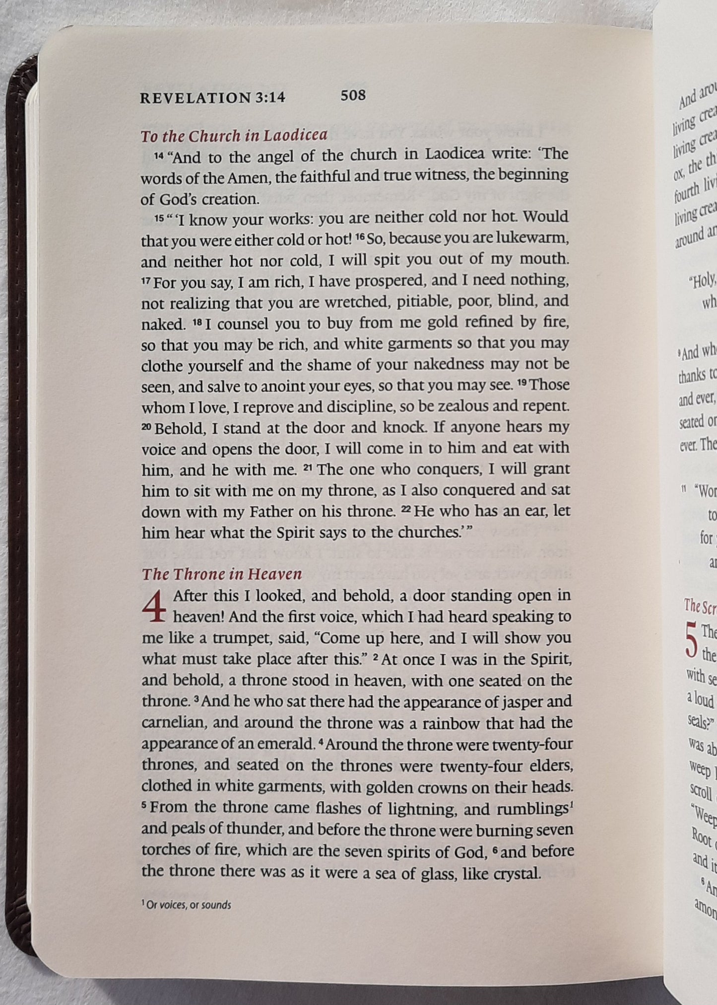 ESV New Testament (New, 2016, Tru-tone Brown Leathersoft, 552 pages, Crossway)