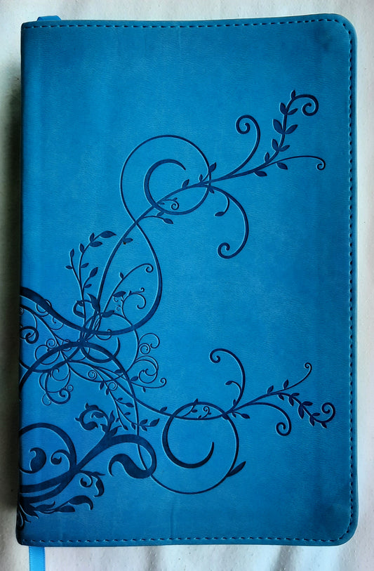 ESV Student Study Bible (Very good, 2011, Sky Blue Trutone Softcover, 1872 pages, Crossway)