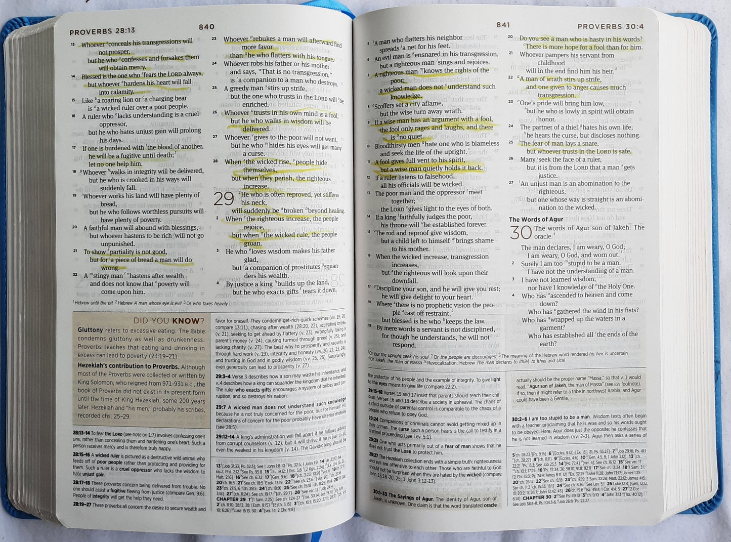 ESV Student Study Bible (Very good, 2011, Sky Blue Trutone Softcover, 1872 pages, Crossway)