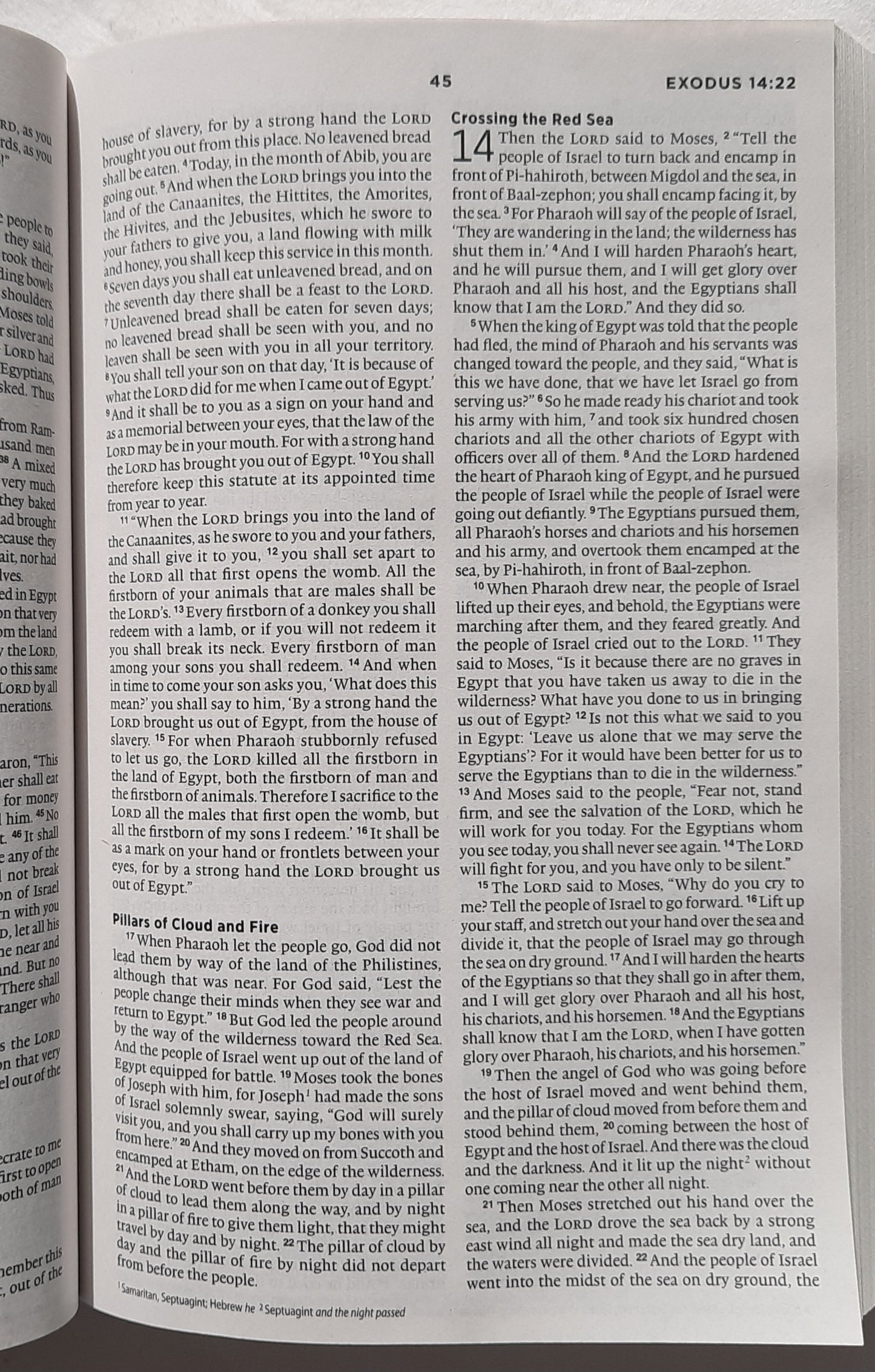ESV The Story Bible (New, 2013, Pbk, 896 pages, Crossway, 7.5 point type)