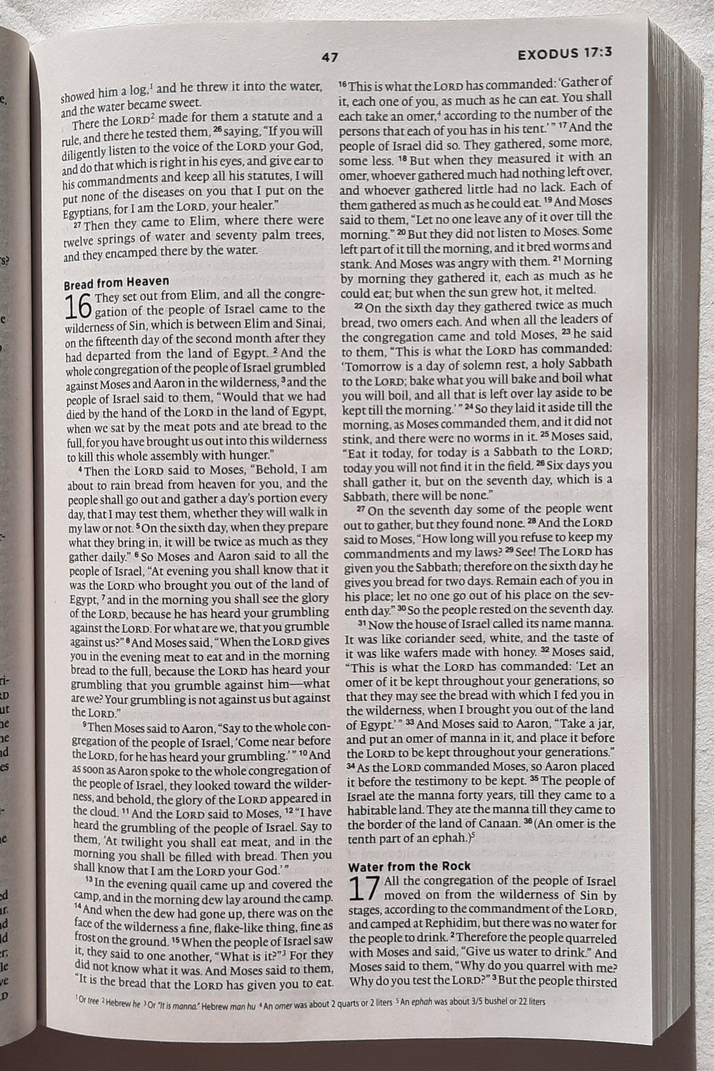 ESV The Story Bible (New, 2013, Pbk, 896 pages, Crossway, 7.5 point type)