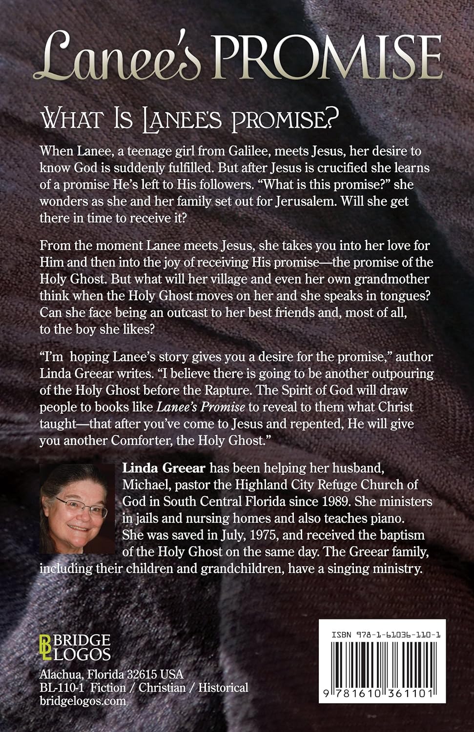 Lanee's Promise by Linda Stewart Greear (New, 2013, Pbk, 240 pages, Bridge Logos)