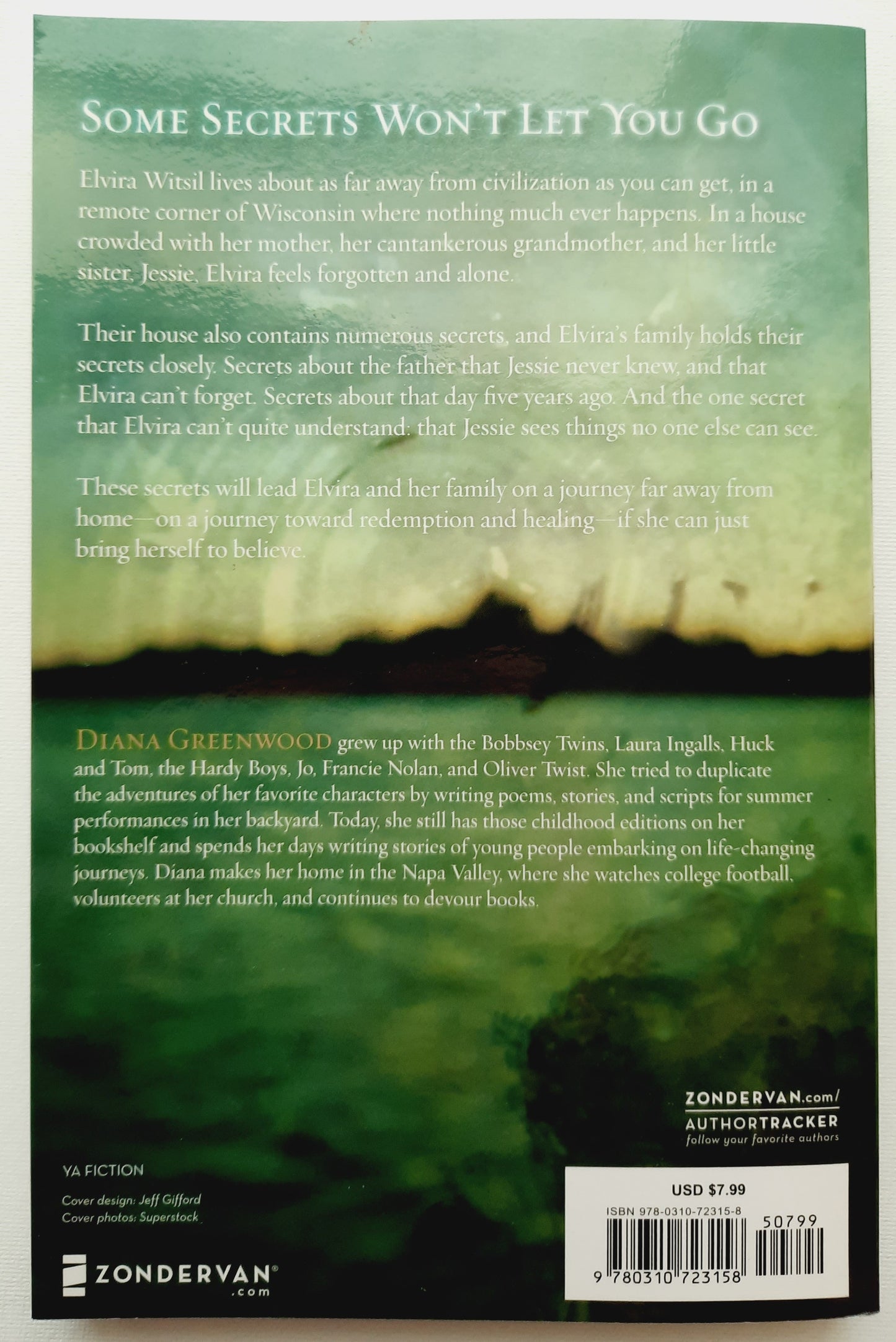 Insight by Diana Greenwood (New, Pbk, 2012, Zondervan, 224 pages)