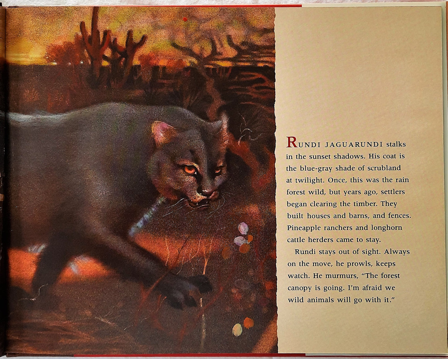 Jaguarundi by Virginia Hamilton (Very good, 1995, HC, 32 pages, Blue Sky Press)