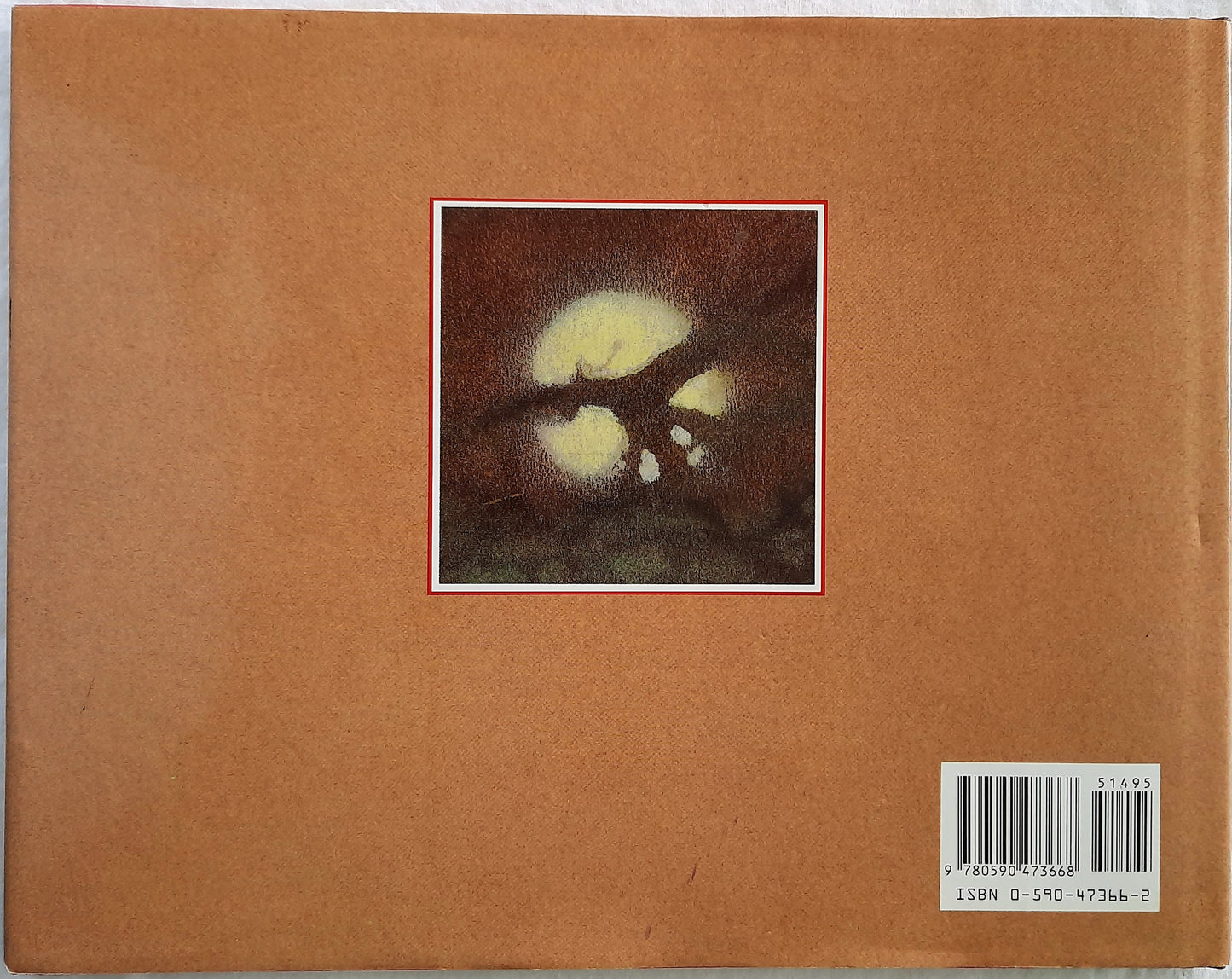 Jaguarundi by Virginia Hamilton (Very good, 1995, HC, 32 pages, Blue Sky Press)