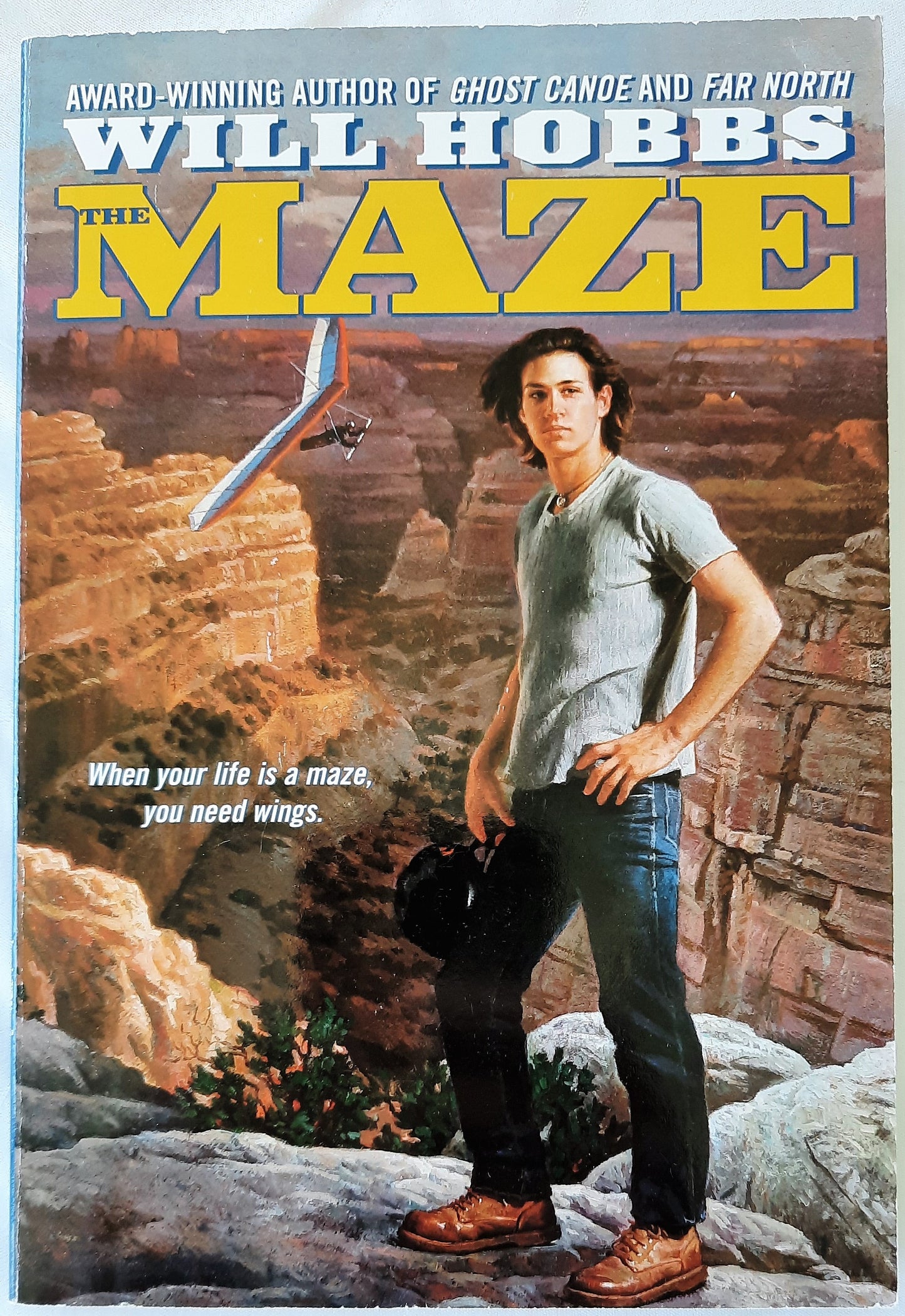 The Maze by Will Hobbs (Very good, 1999, Pbk, 256 pages, Avon Books)