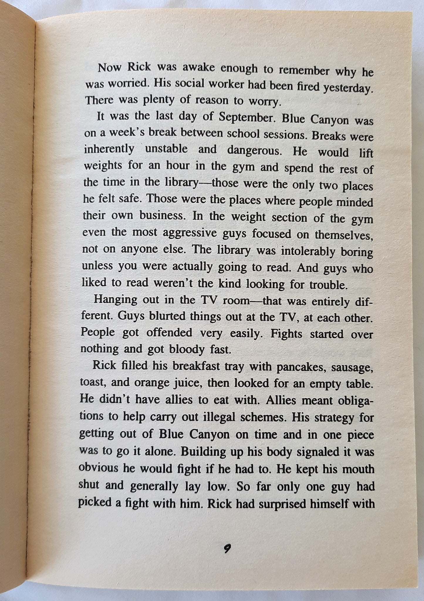The Maze by Will Hobbs (Very good, 1999, Pbk, 256 pages, Avon Books)