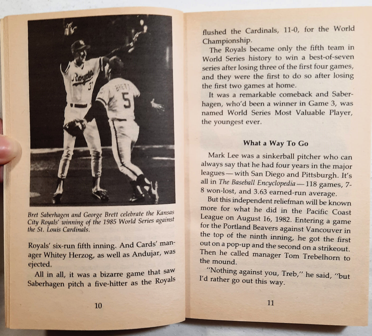 Amazing But True Sports Stories by Phyllis and Zander Hollander (Very Good, 1986, Pbk, 140 pages, Scholastic)