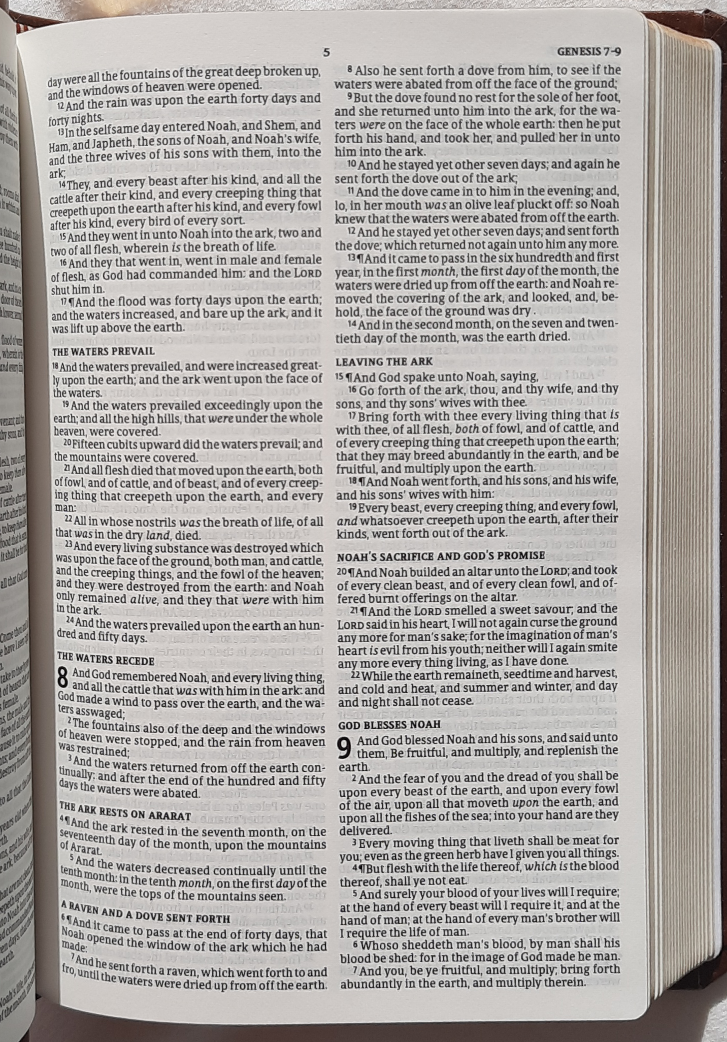 KJV Compact Value Edition Bible (New, 2019, Brown LeatherTouch, 768 pages, Holman)