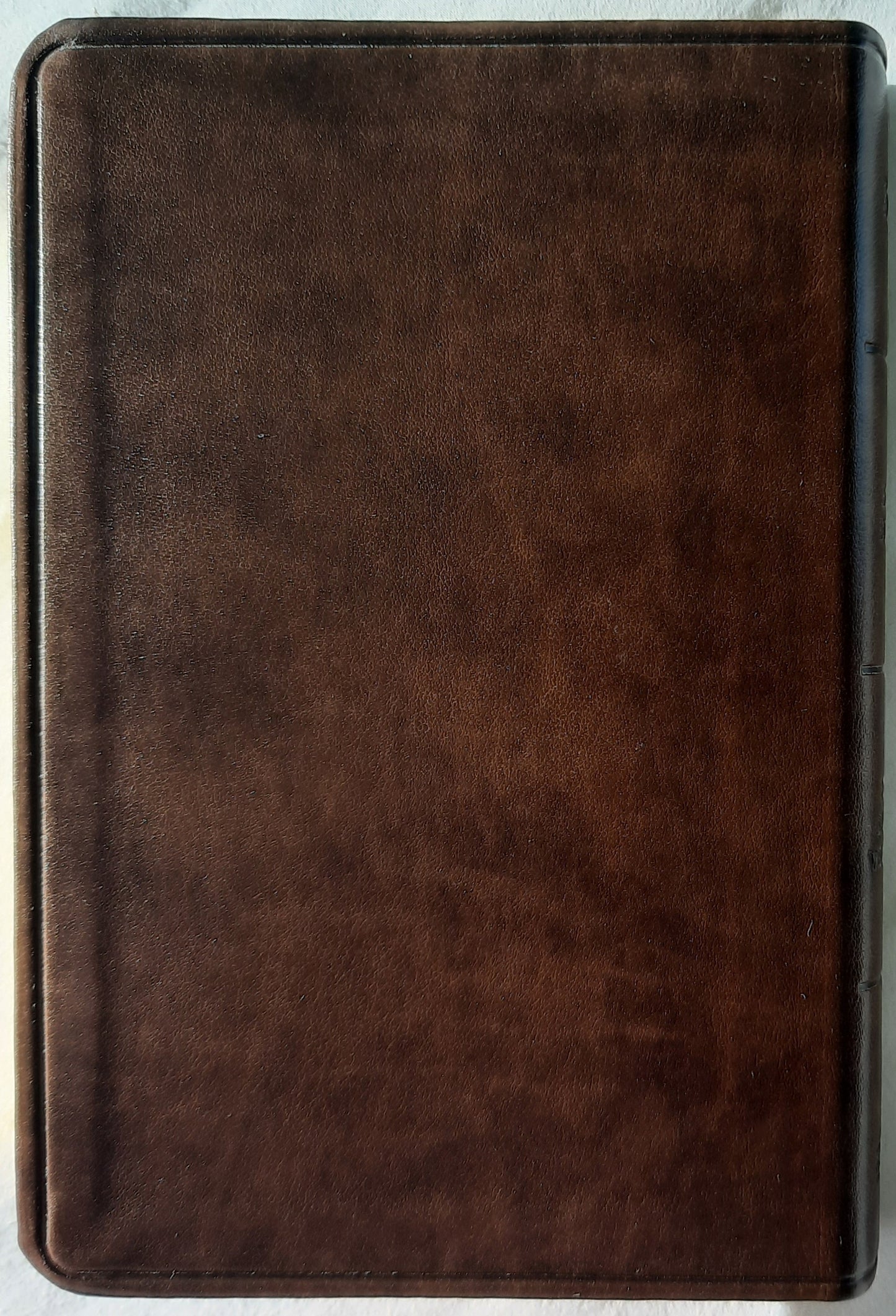KJV Compact Value Edition Bible (New, 2019, Brown LeatherTouch, 768 pages, Holman)