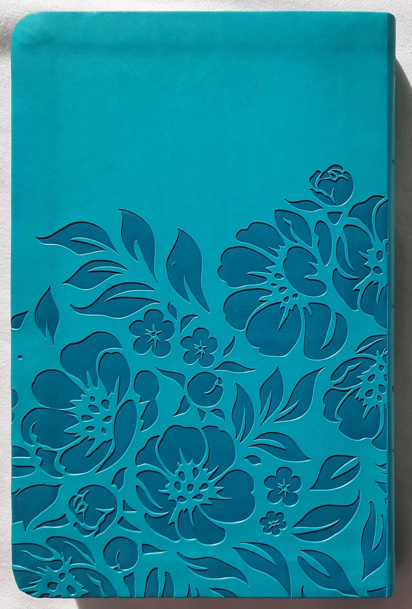KJV Thinline Bible Value Edition (New, 2022, Teal Leathertouch, 1056 pages, Holman)