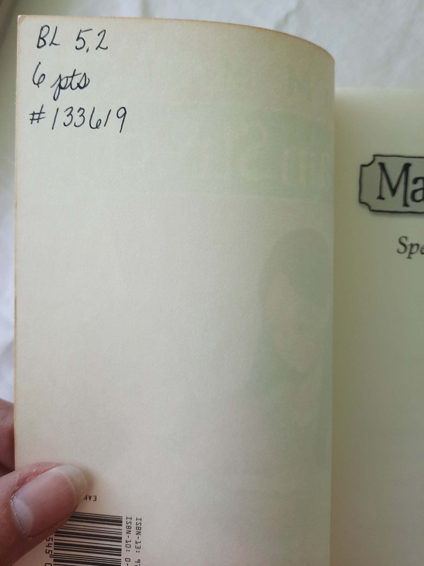 Main Street: Special Delivery #8 by Ann M. Martin (Very good, Pbk, 2009, 196 pages, Scholastic)
