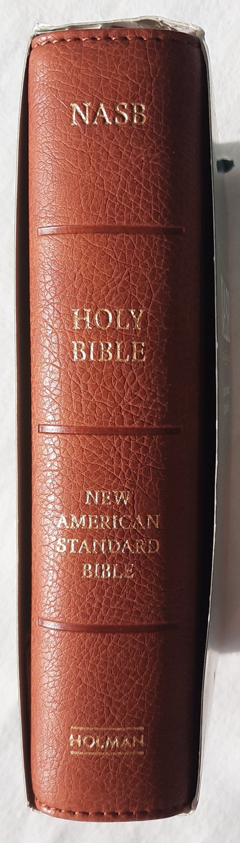 NASB Large Print Compact Reference Bible (New, 2022, Burnt Sienna LeatherSoft, 1776 pages, Holman)