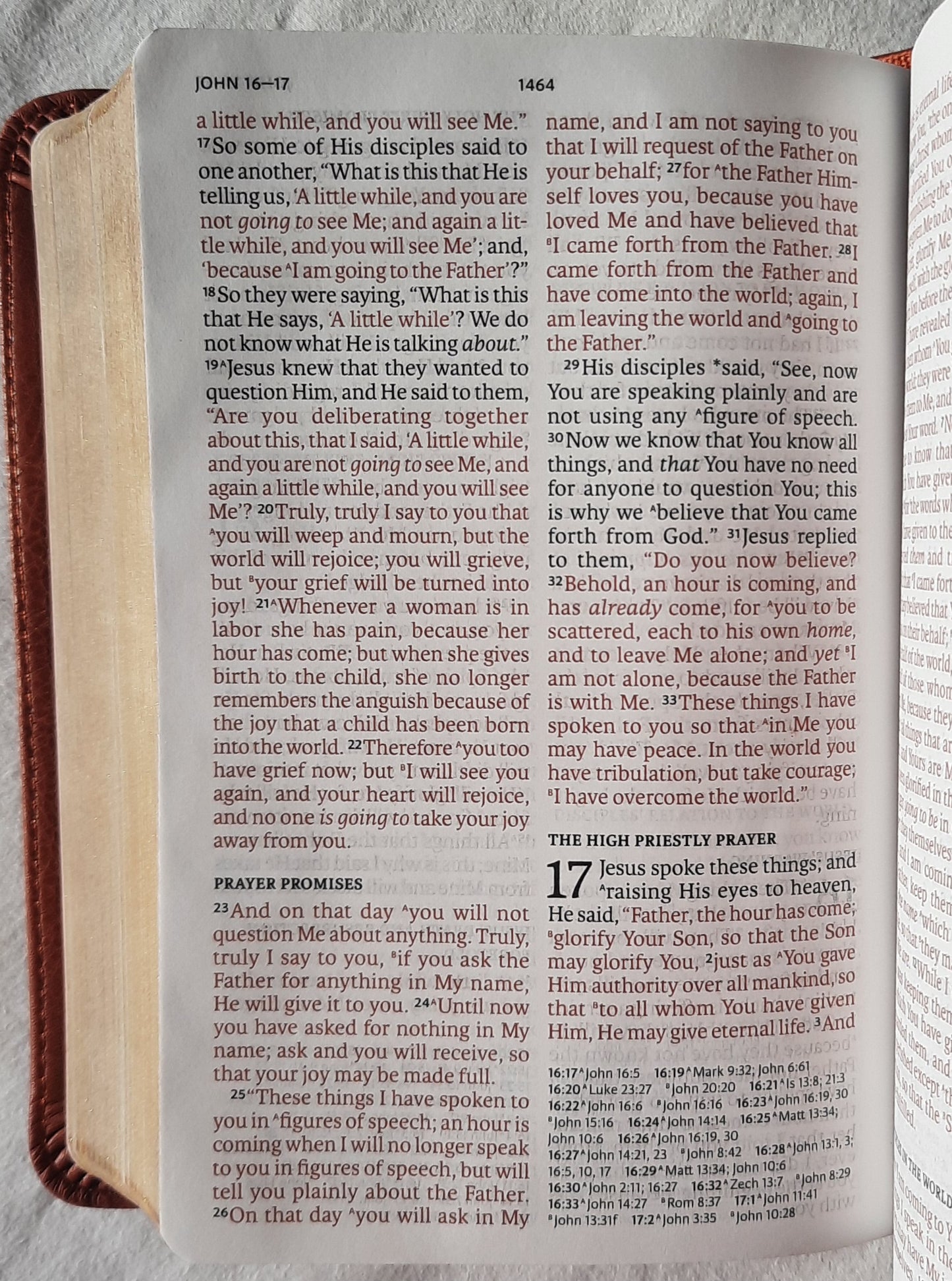 NASB Large Print Compact Reference Bible (New, 2022, Burnt Sienna LeatherSoft, 1776 pages, Holman)