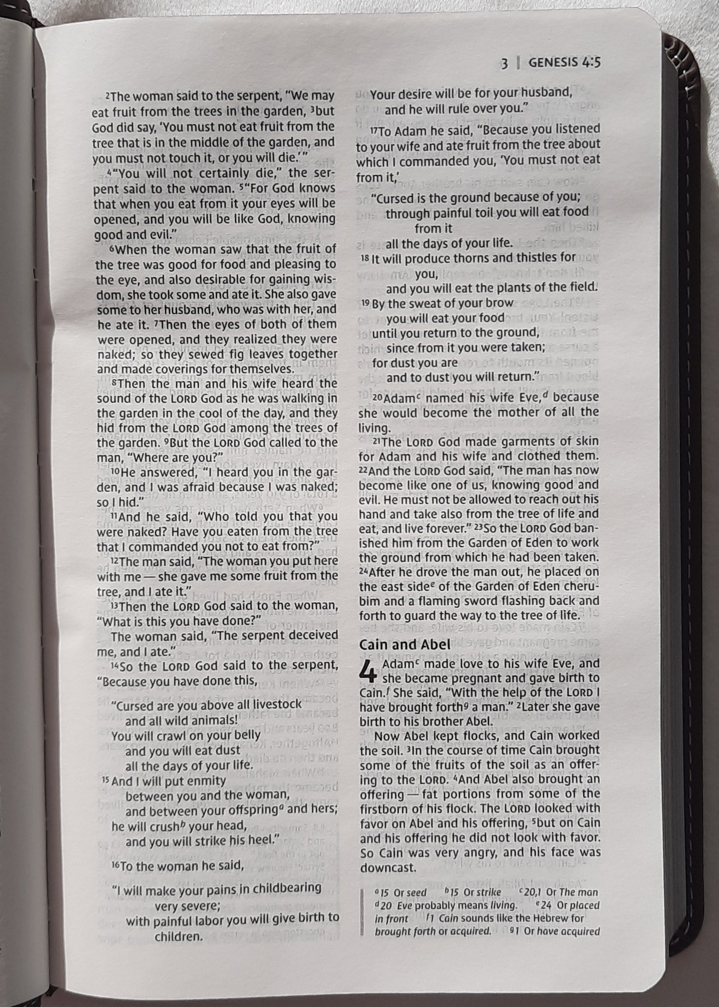 NIV Thinline Compact Bible (New, 2017, Leathersoft-Pink Chocolate, 1088 pages, Zondervan)
