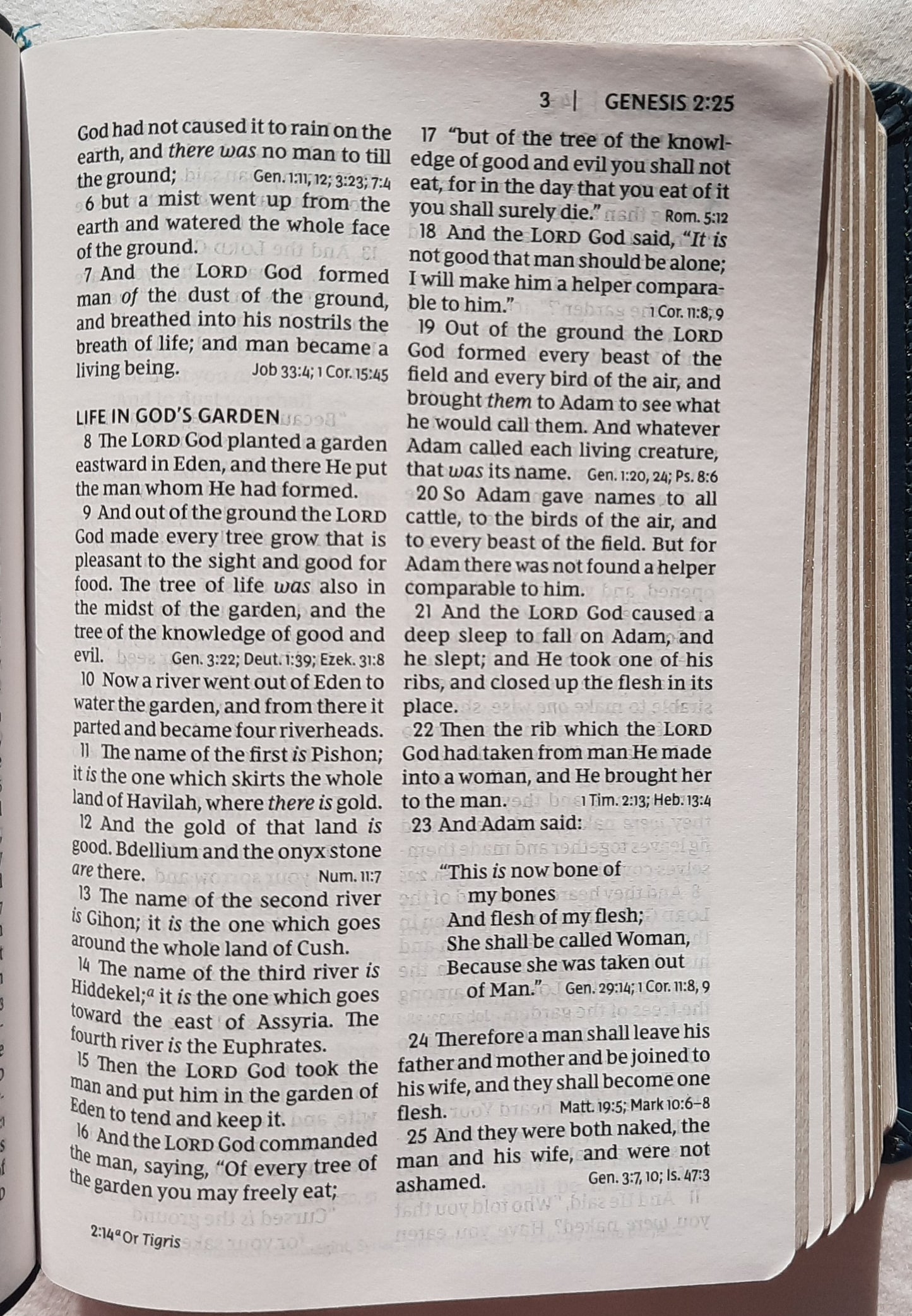 NKJV Compact Reference Bible Teal Leathersoft (New, 2020, Leathersoft, 1856 pages, Thomas Nelson)