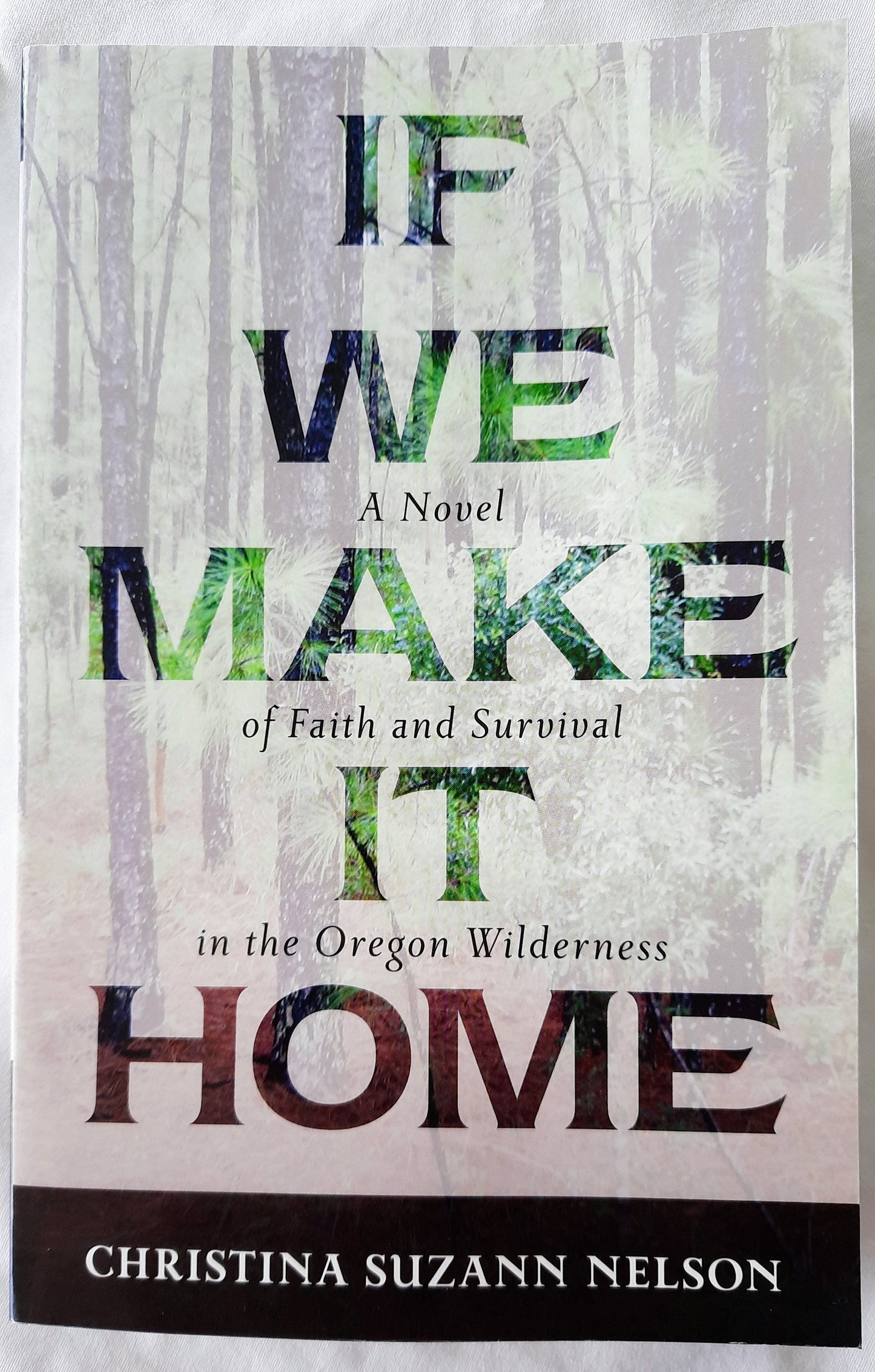 If We Make It Home by Christina Suzanne Nelson (Like new, 2017, Pbk, 272 pages, Kregel)