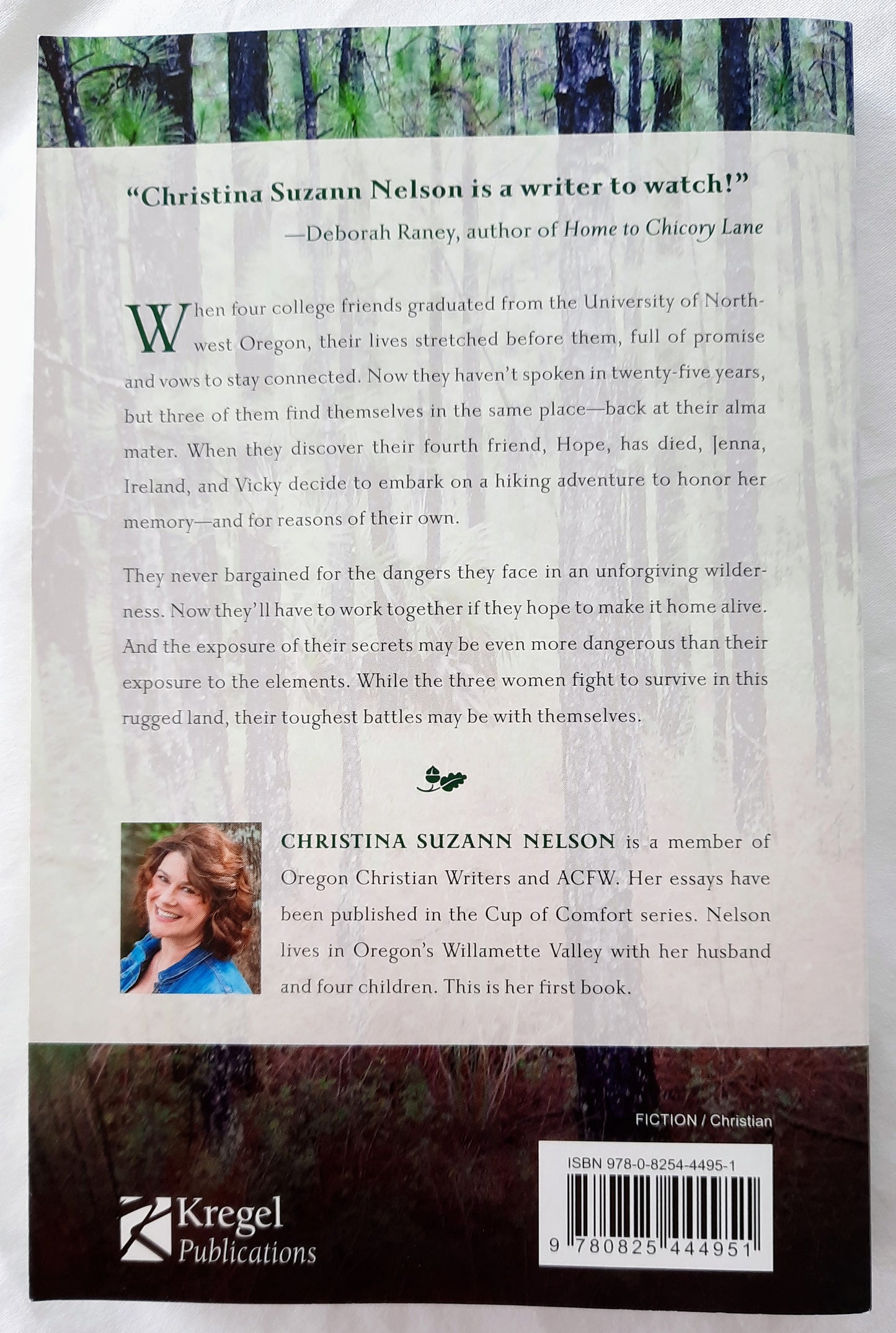 If We Make It Home by Christina Suzanne Nelson (Like new, 2017, Pbk, 272 pages, Kregel)