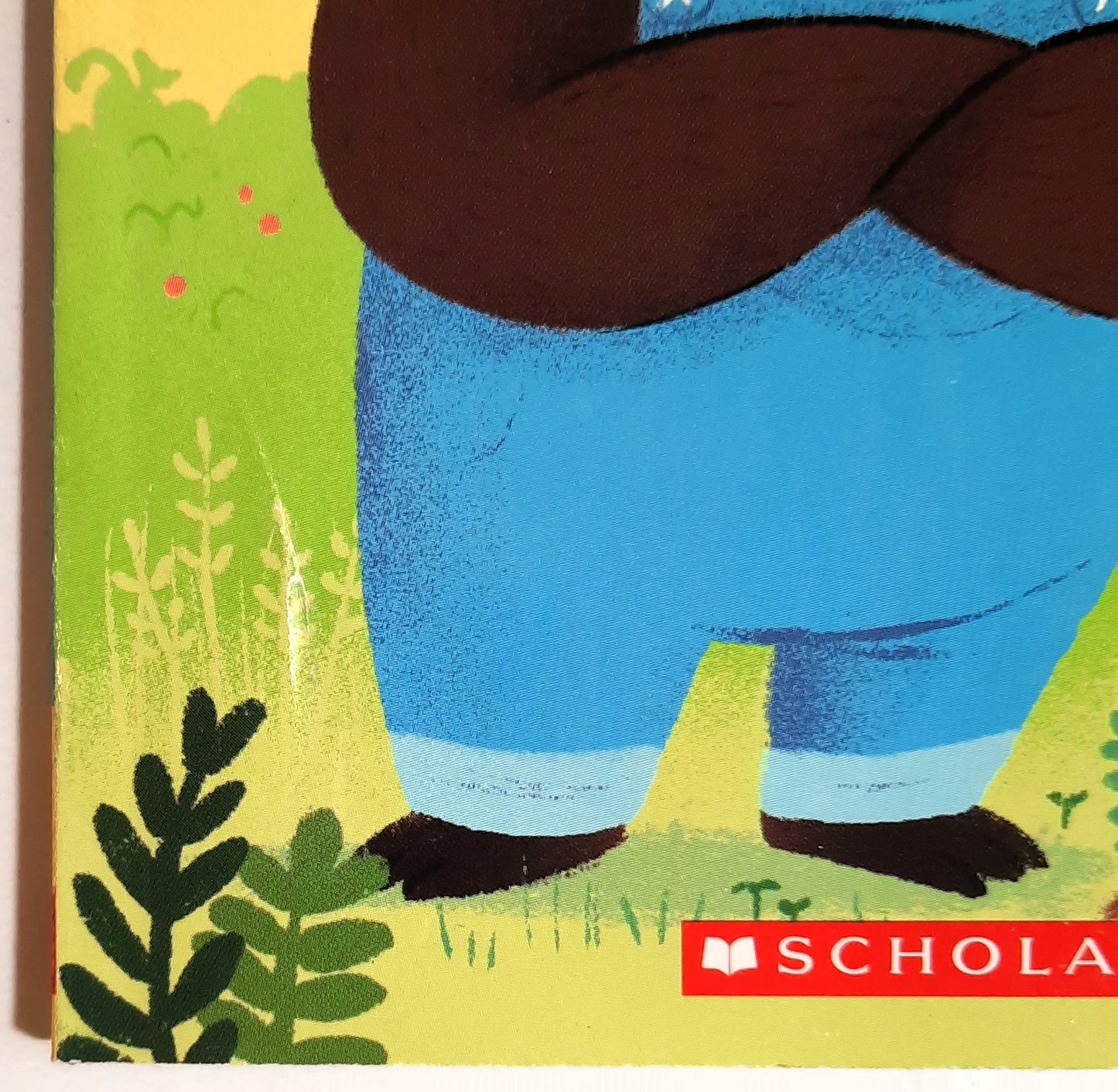 Arnold and Louise: Lost and Found by Erica S. Perl (New, 2019, Pbk, 64 pages, Scholastic)