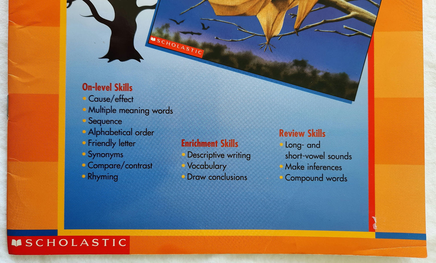 Skills Through Literature: Stellaluna by Janell Cannon (Very good, 1998, Pbk, 17 pages, Scholastic)