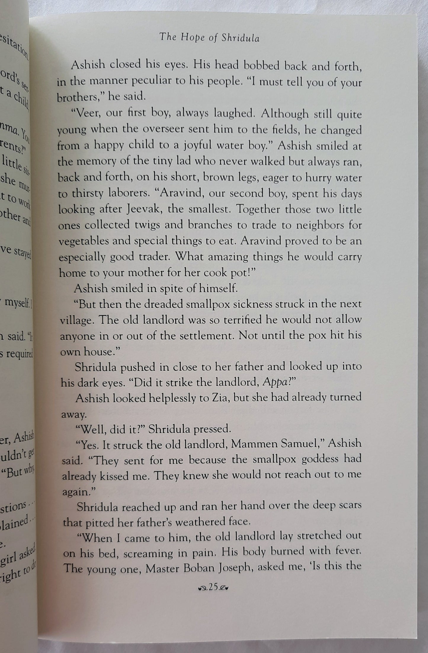 The Hope of Shridula #2 by Kay Marshall Strom (Blessings of India, 2012, New, Pbk, 327 pages, Abingdon Press)