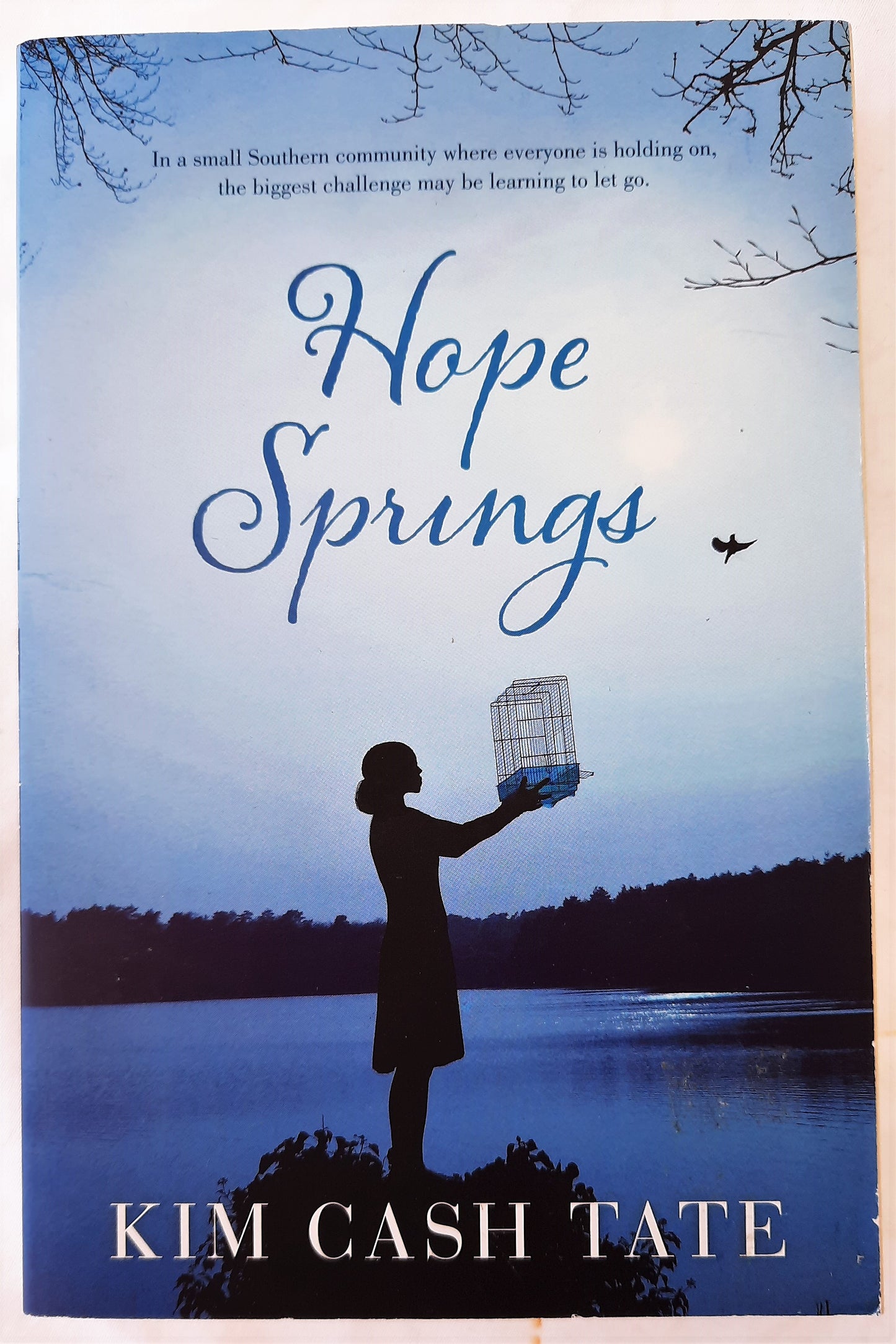 Hope Springs by Kim Cash Tate (New, Pbk, 2012, 328 pages, Thomas Nelson)