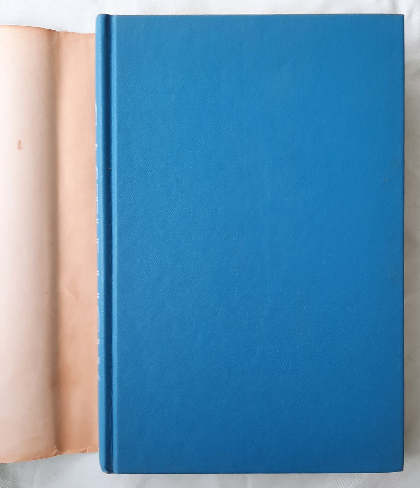 Castle Ugly by Mary Ellin Barrett (Good, 1966, HC, 218 pages, E.P. Dutton & Co.)