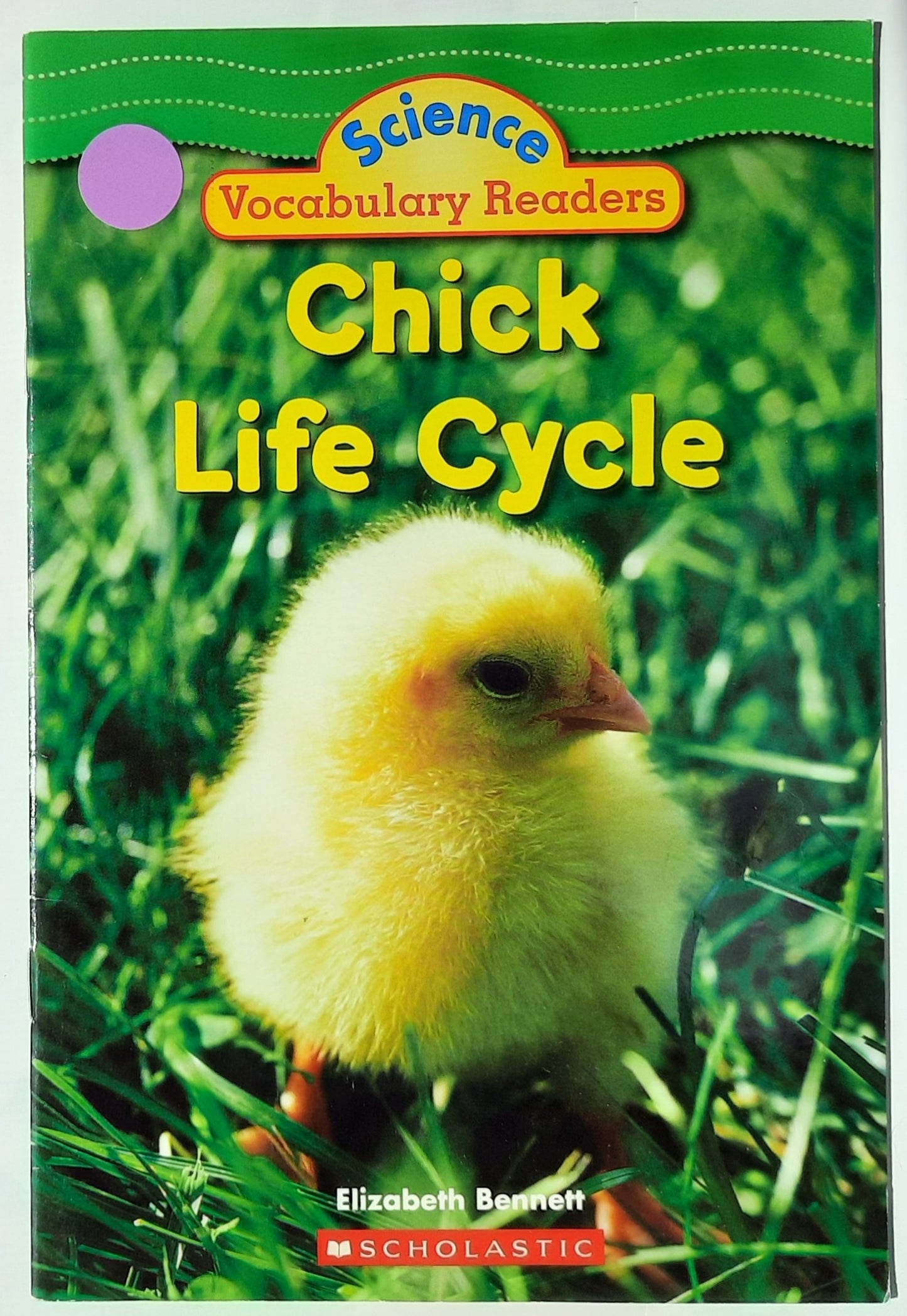Science Vocabulary Readers: Chick Life Cycle by Elizabeth Bennett (Very good, 2007, Pbk, 24 pages, Scholastic)