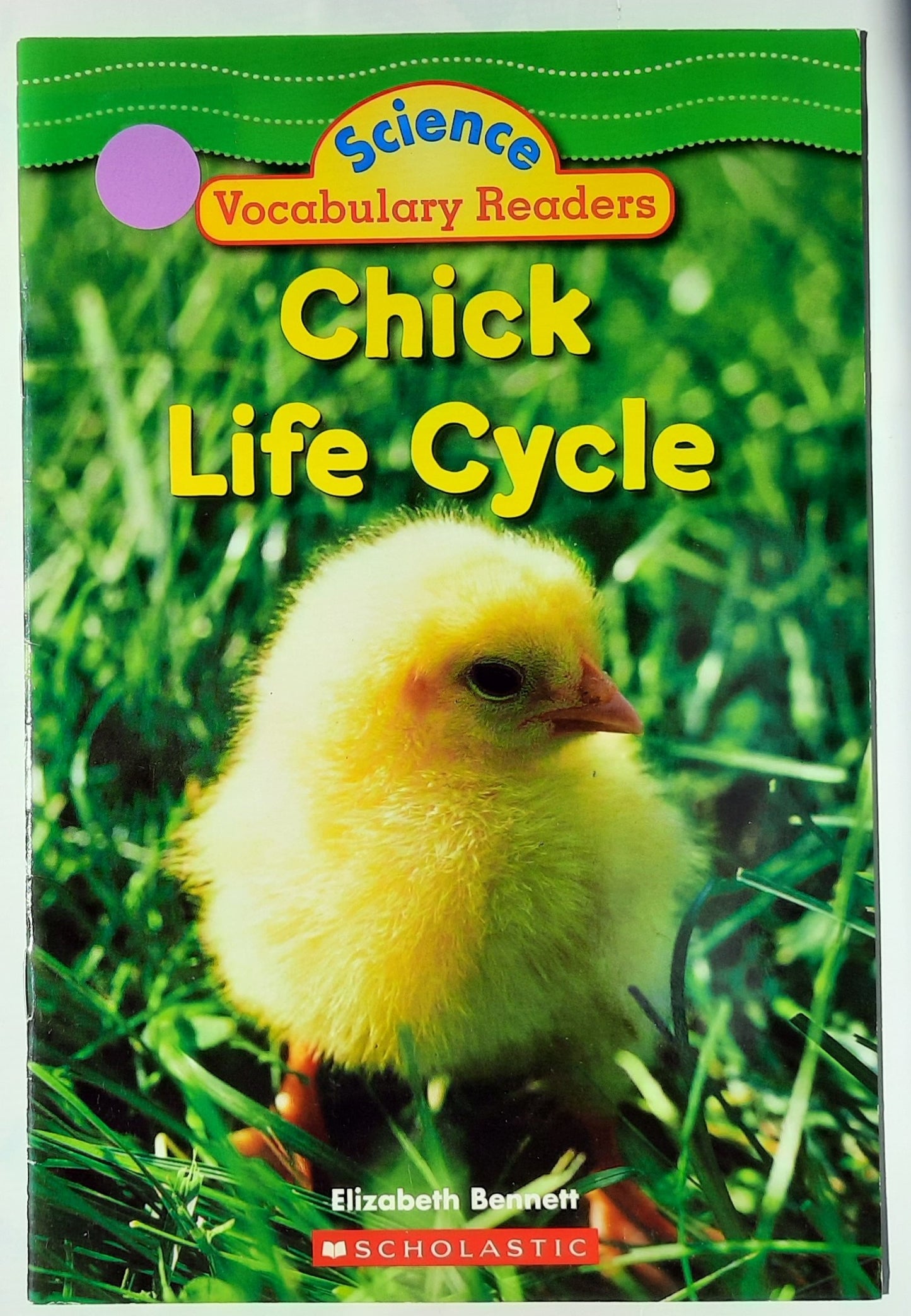 Science Vocabulary Readers: Chick Life Cycle by Elizabeth Bennett (Very good, 2007, Pbk, 24 pages, Scholastic)
