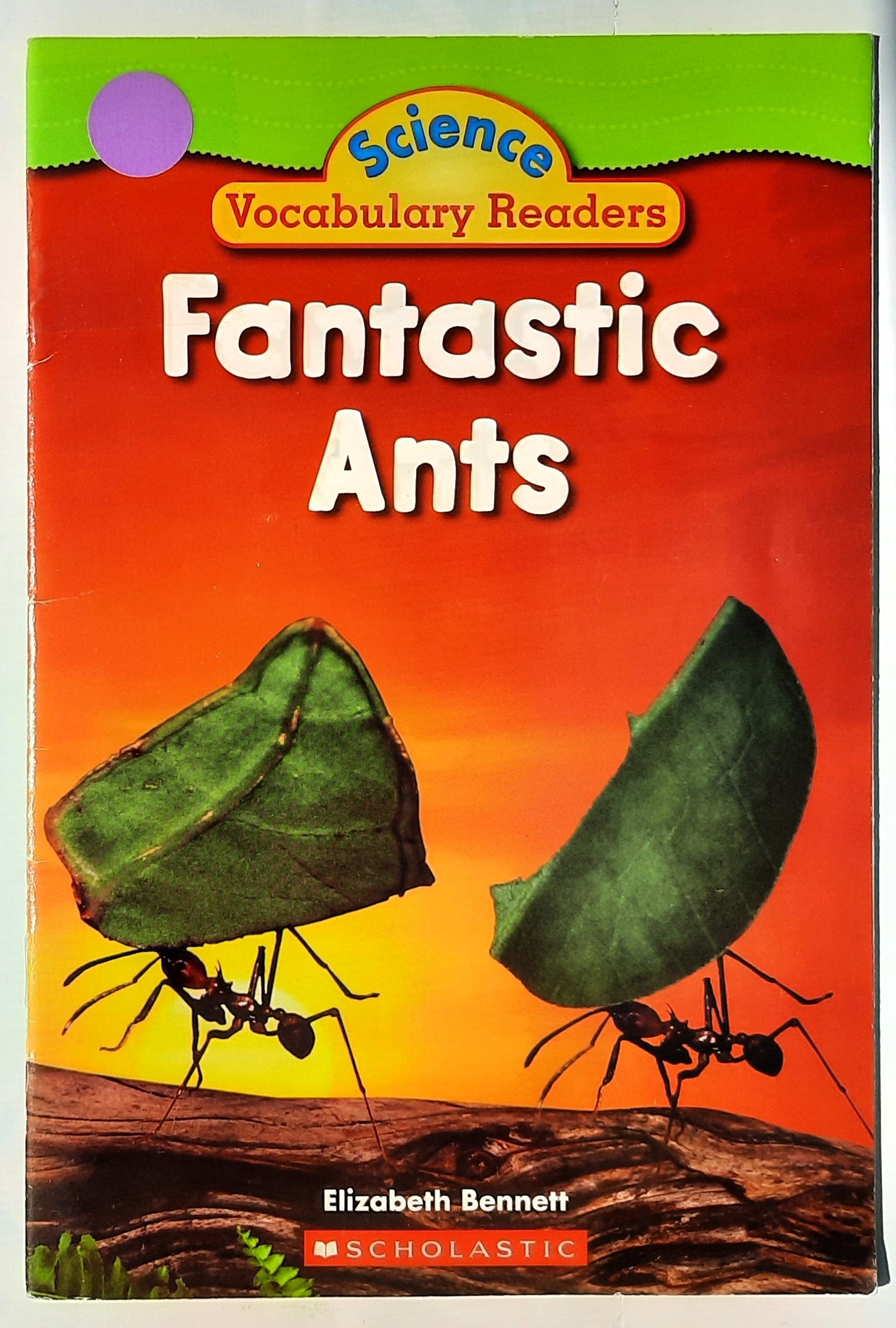 Science Vocabulary Readers: Fantastic Ants by Elizabeth Bennett (Very good, 2008, Pbk, 24 pages, Scholastic)