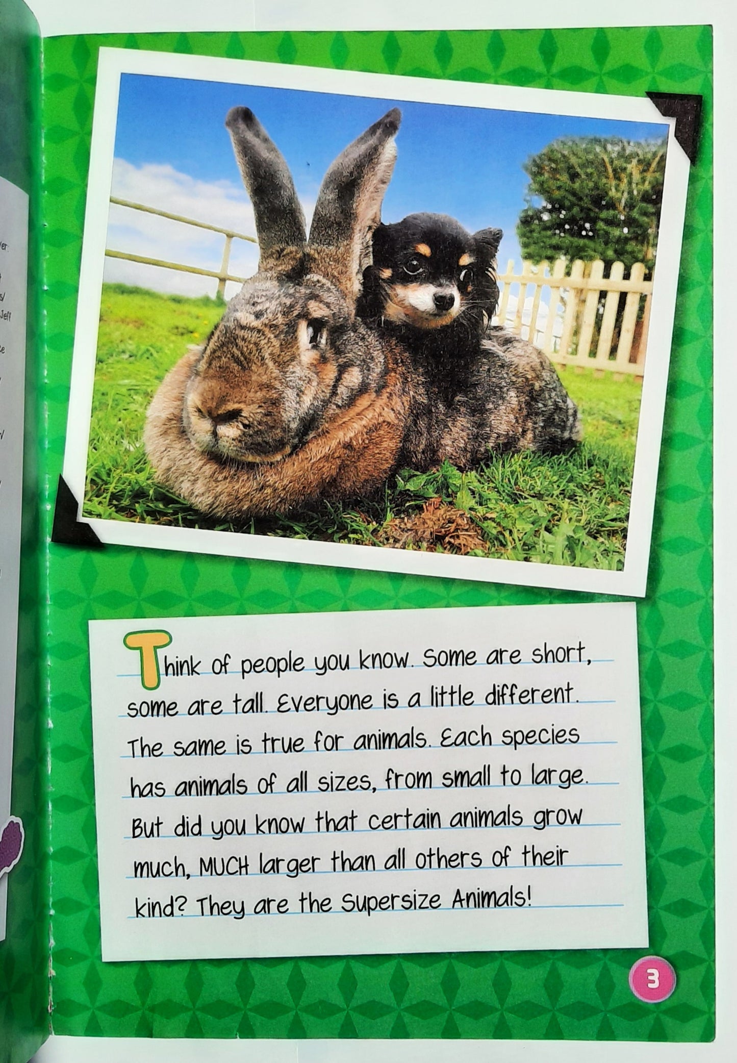 Supersize Animals by Melvin & Gilda Berger (Level 2 Reader, Very good, 2015, Pbk, 32 pages, Scholastic)