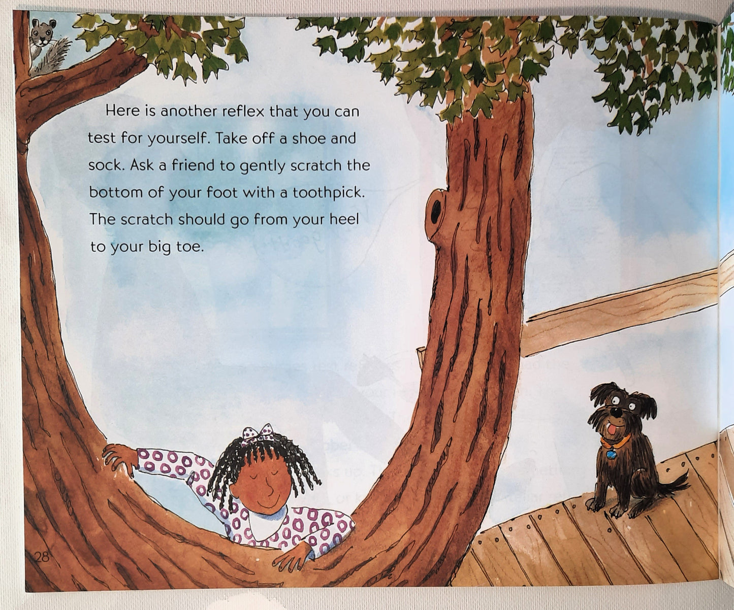 Why I Sneeze, Shiver, Hiccup, and Yawn by Melvin & Gilda Berger (Very good, 2002, Pbk, 33 pages, Scholastic)