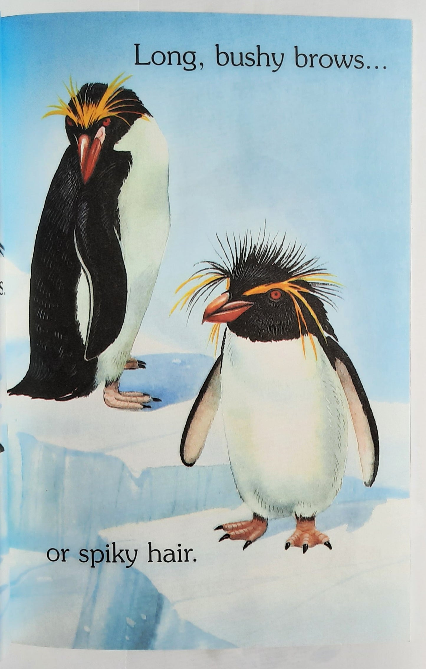 Plenty of Penguins by Sonia W. Black (Level 1 Reader, Very good, 1999, Pbk, 32 pages, Scholastic)