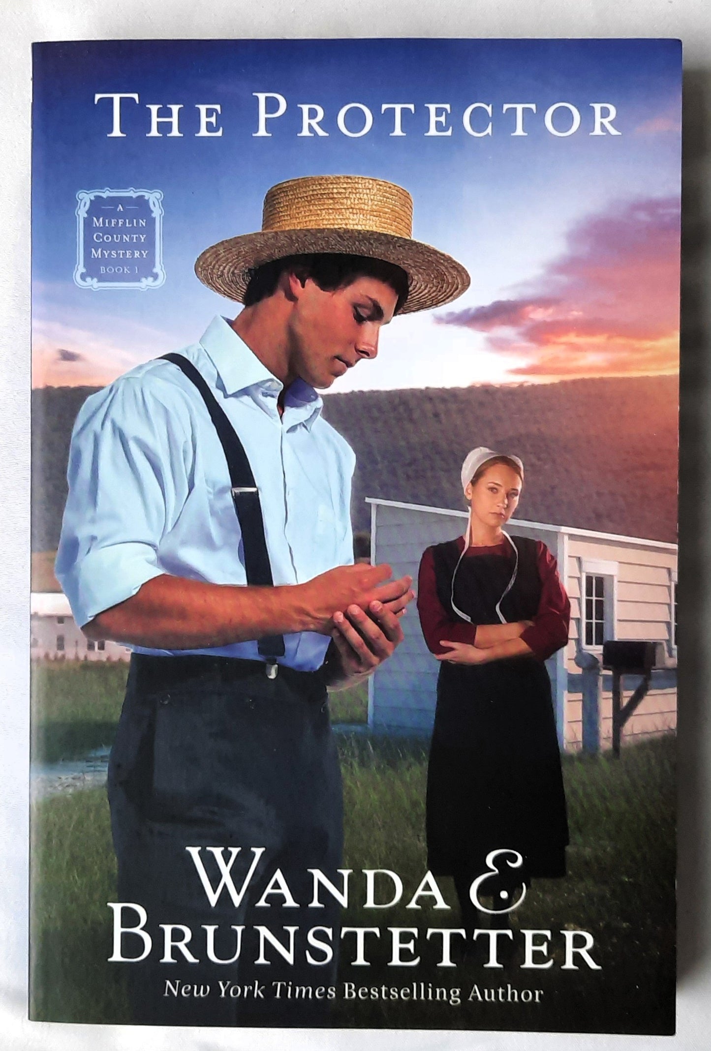 The Protector by Wanda E. Brunstetter (Mifflin County Mystery #1, New, 2024, Pbk, 317 pages, Barbour Publishing)