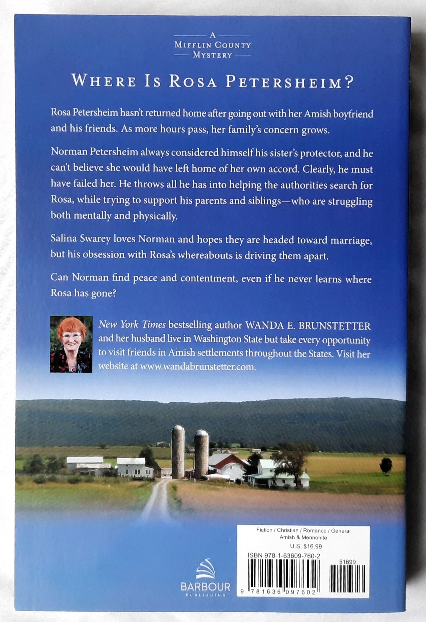 The Protector by Wanda E. Brunstetter (Mifflin County Mystery #1, New, 2024, Pbk, 317 pages, Barbour Publishing)