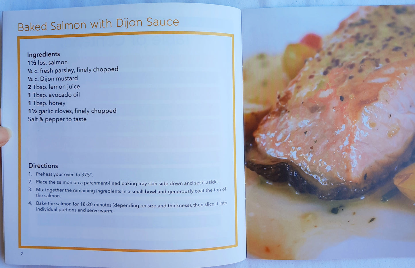 Catch of the Day Recipe/Cookbook (Very good, Pbk, 24 pages, Kappa Books)